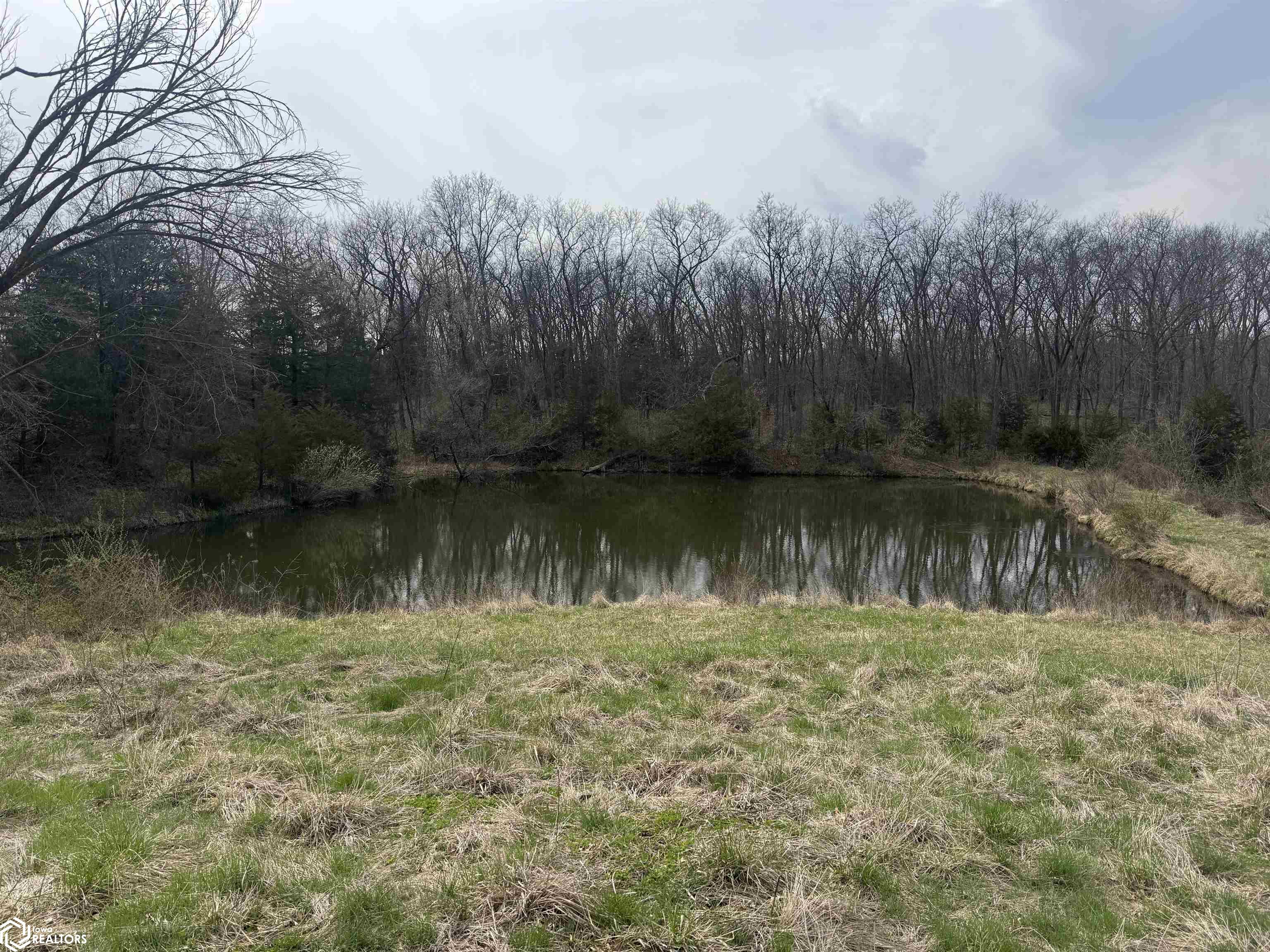 Osage Avenue, Fairfield, Iowa image 7