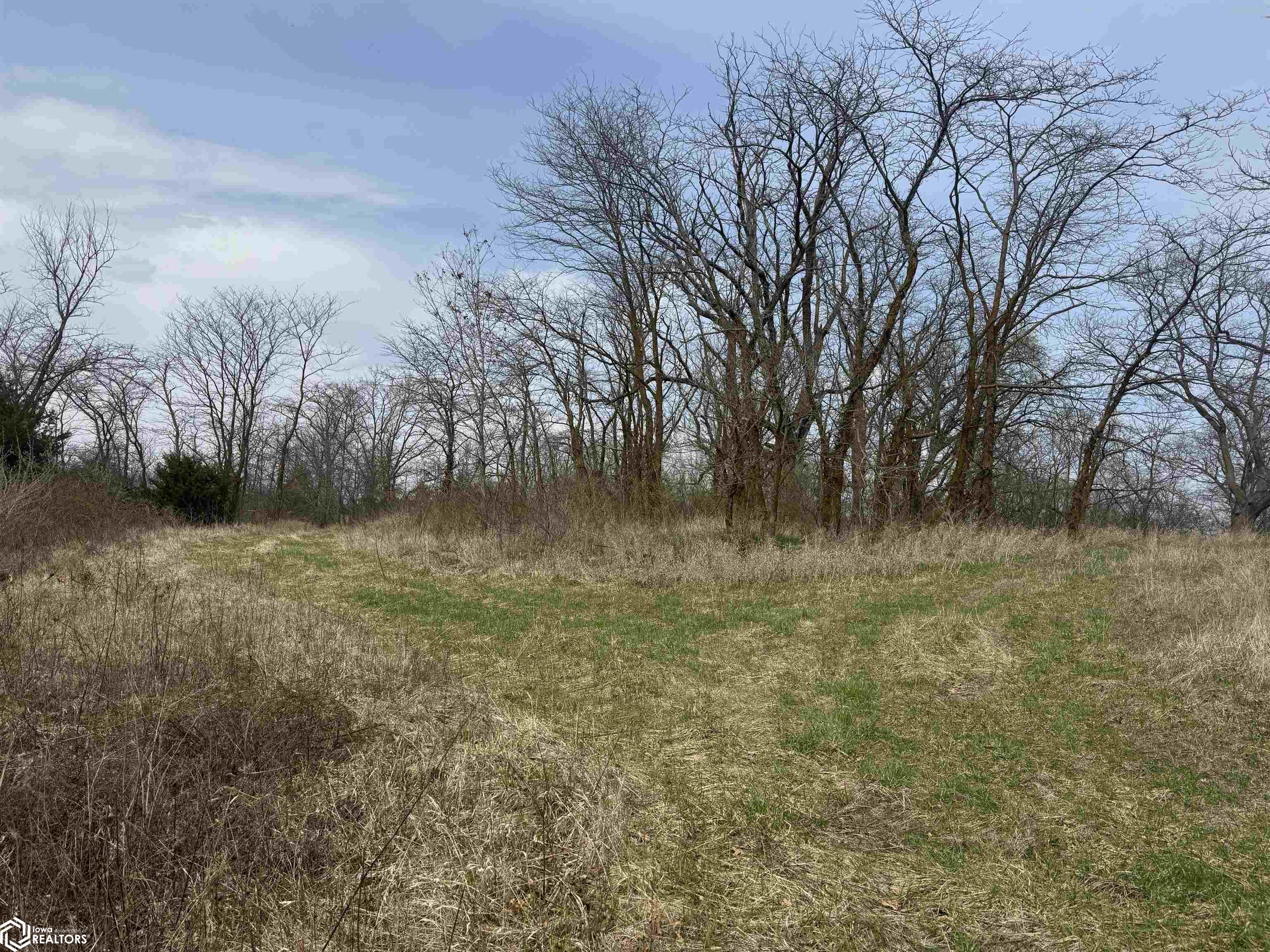 Osage Avenue, Fairfield, Iowa image 8