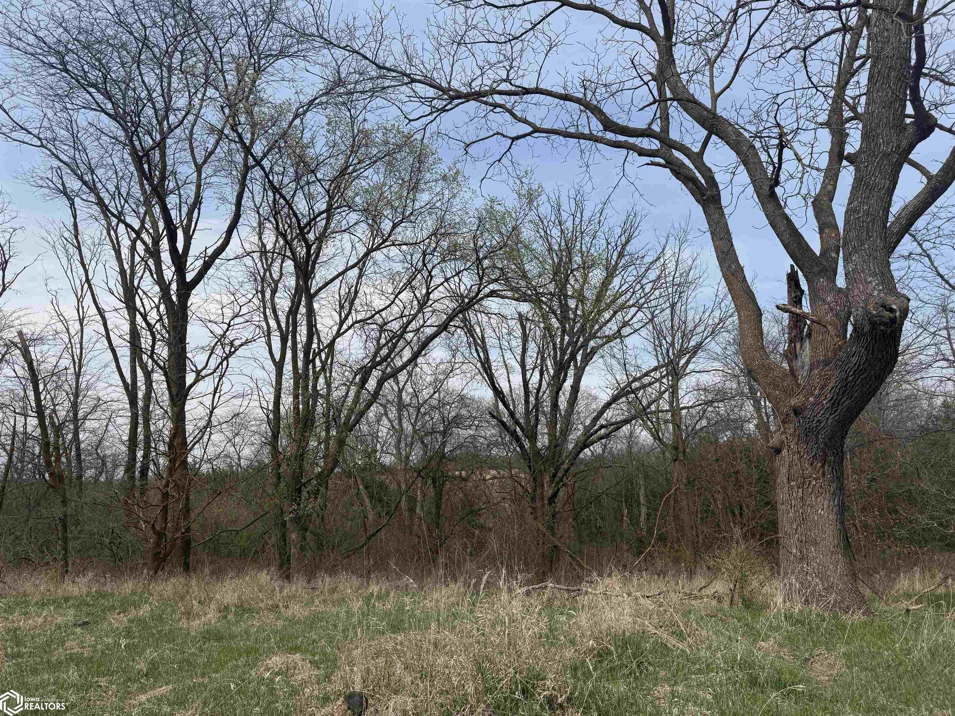 Osage Avenue, Fairfield, Iowa image 9