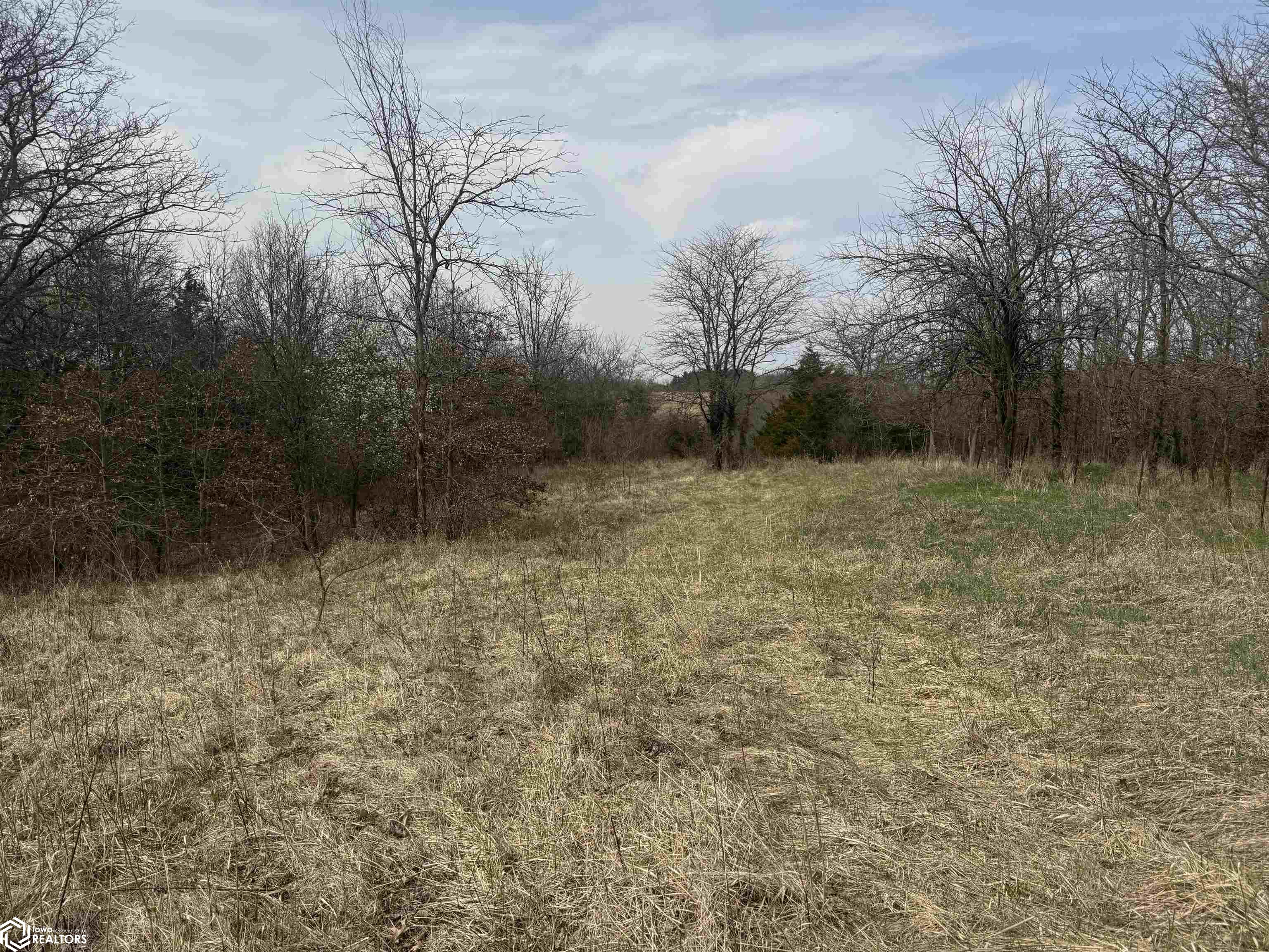 Osage Avenue, Fairfield, Iowa image 10