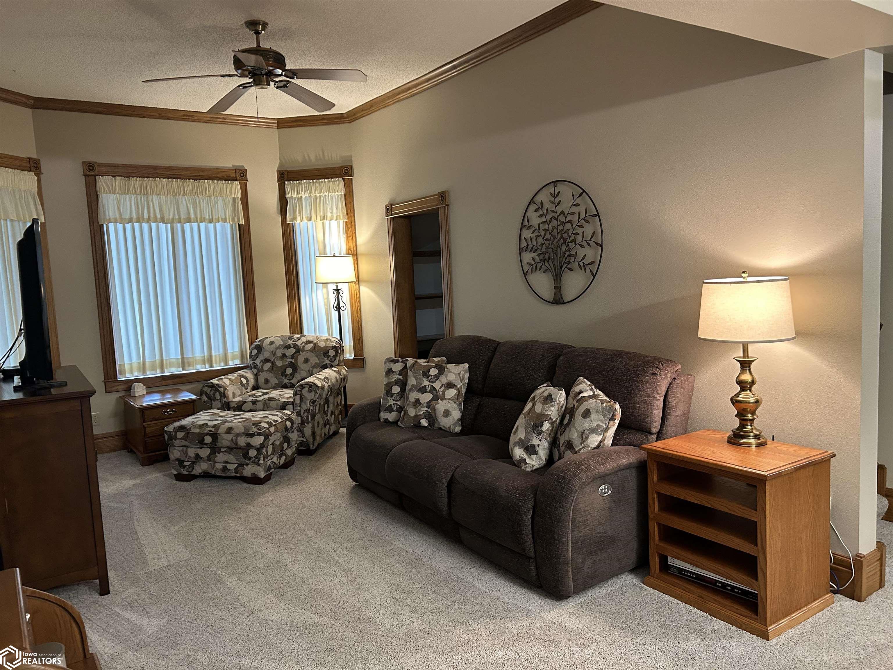 1011 Middle Street, Mediapolis, Iowa image 20