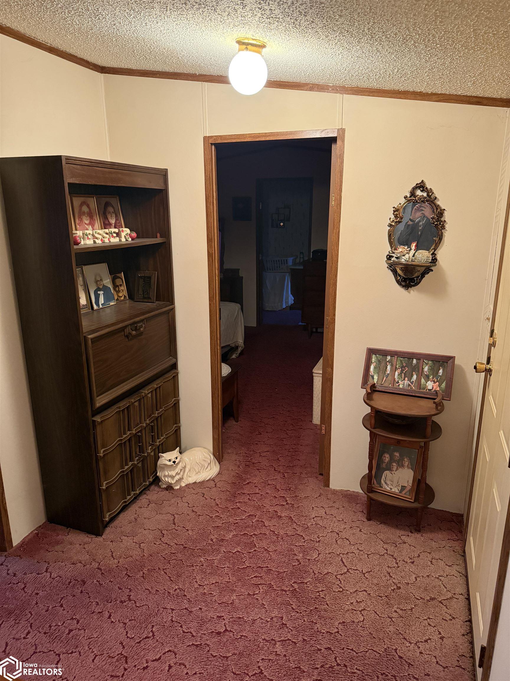 120 N Cedar Road, Hillsboro, Iowa image 8