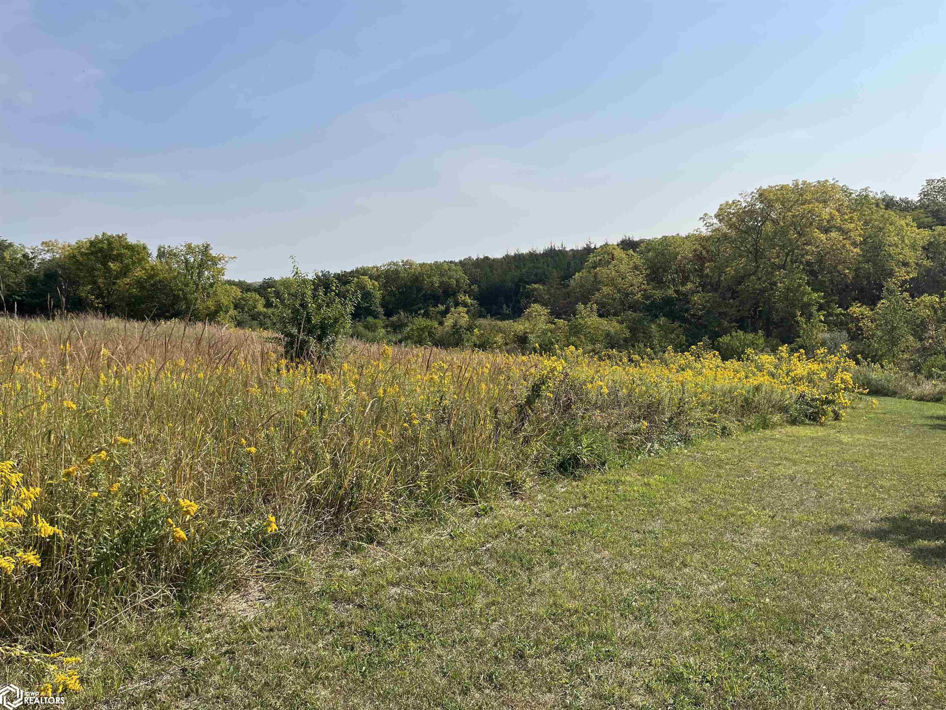18756 Lakeview Road, Leon, Iowa image 44