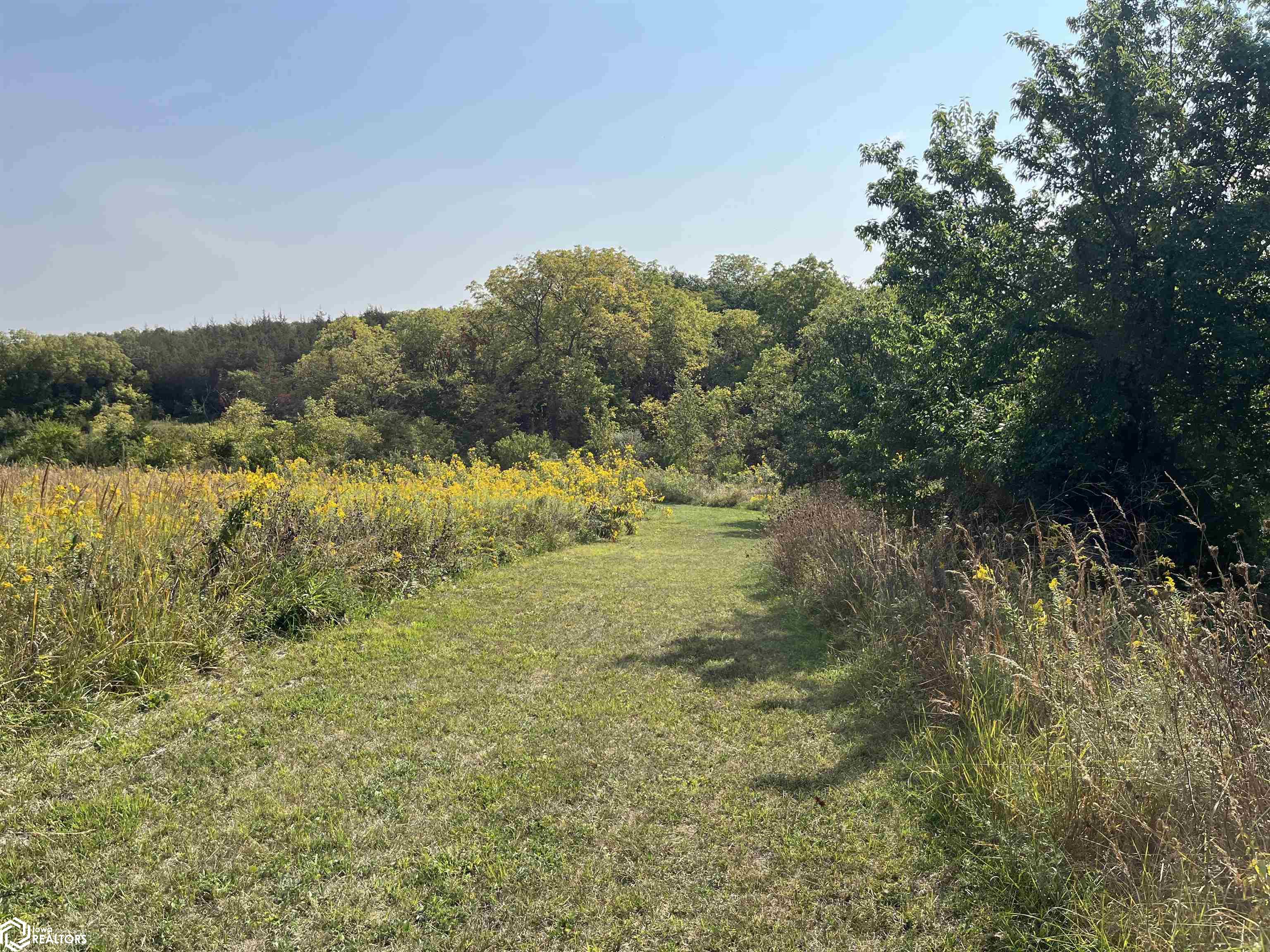 18756 Lakeview Road, Leon, Iowa image 45