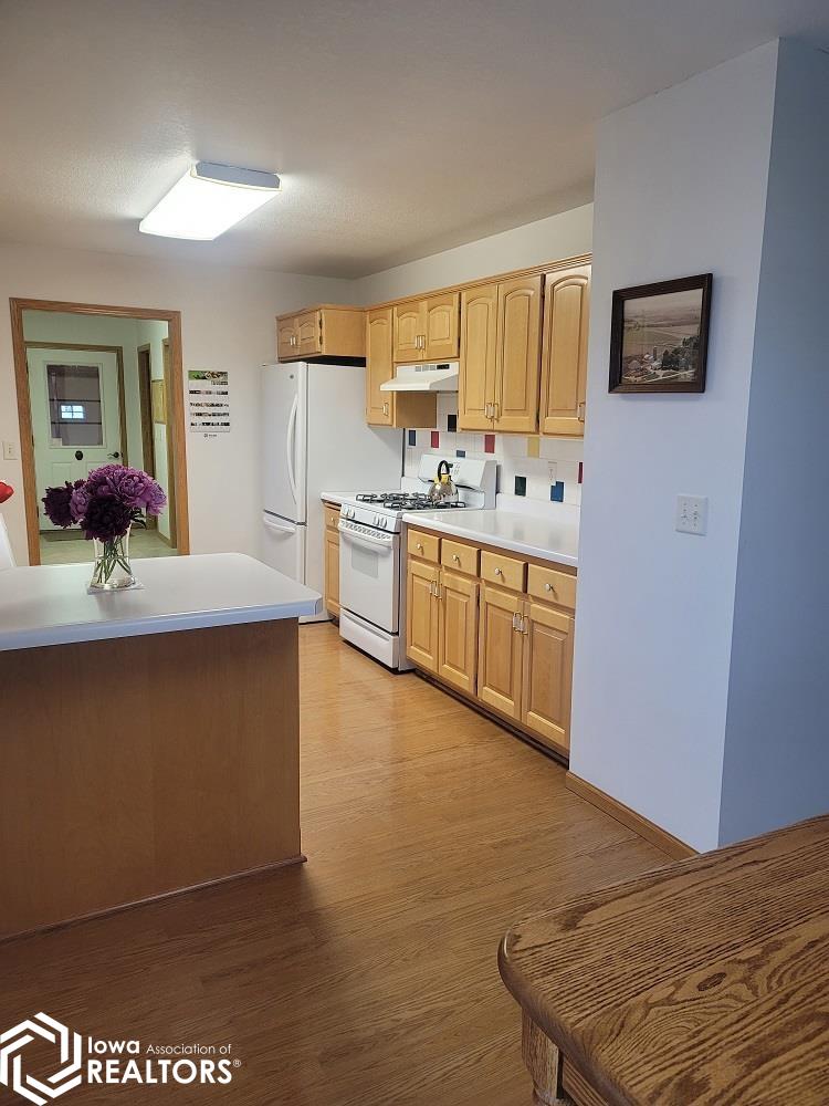 3006 Maple Avenue, Blanchard, Iowa image 43