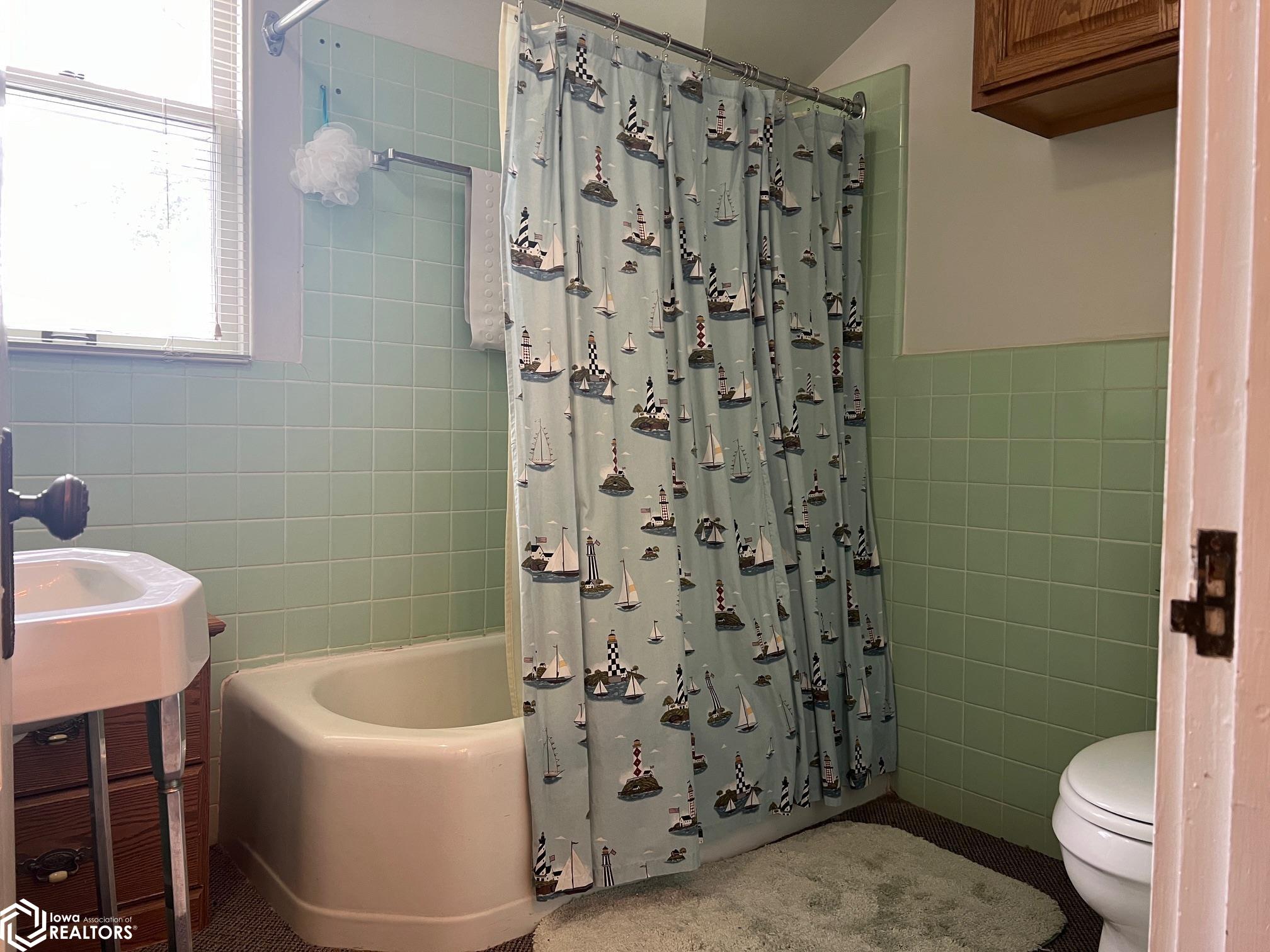 423 S Mary St, Stronghurst, Illinois image 22