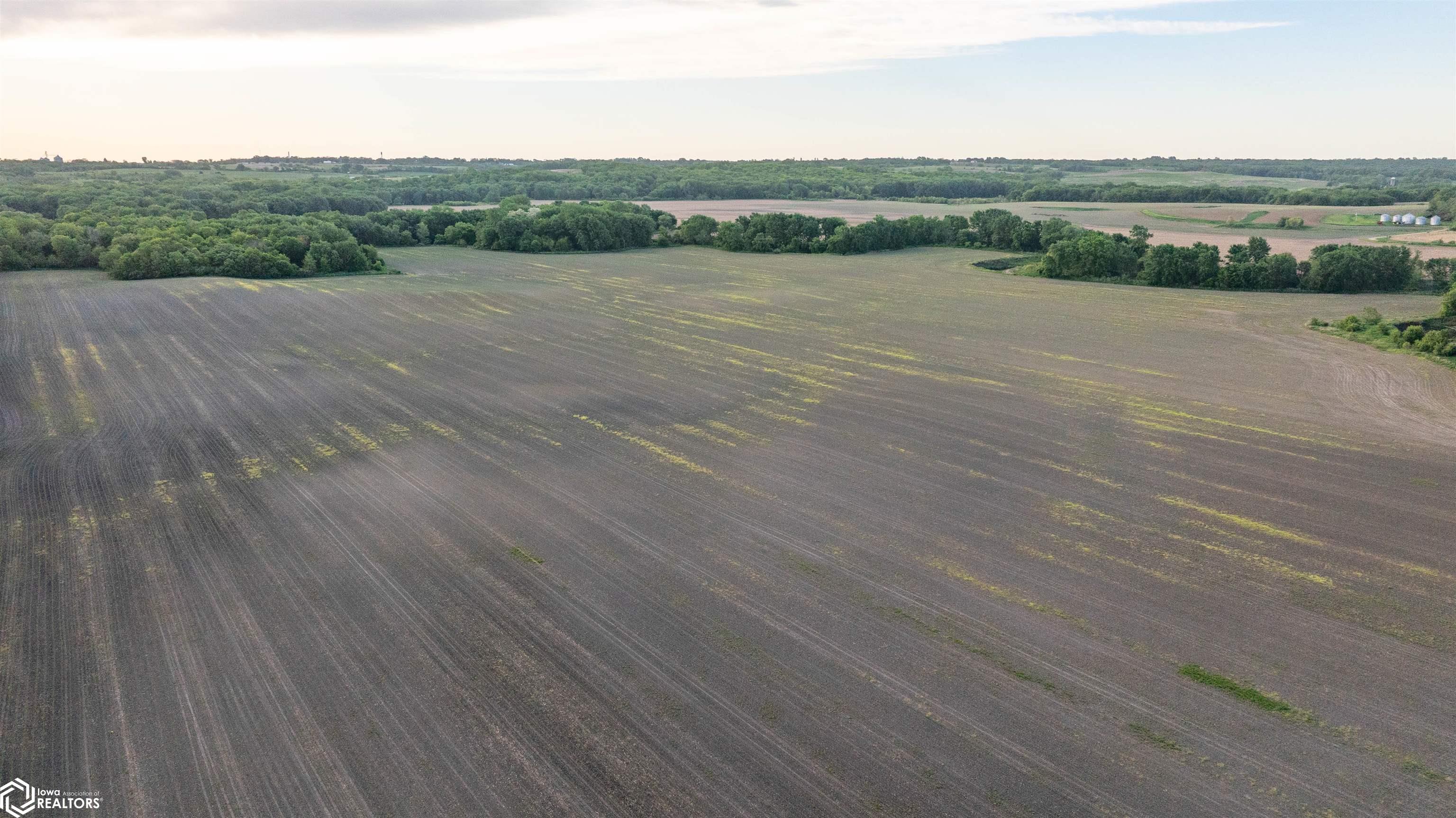 0000 218th Place, Bussey, Iowa image 18
