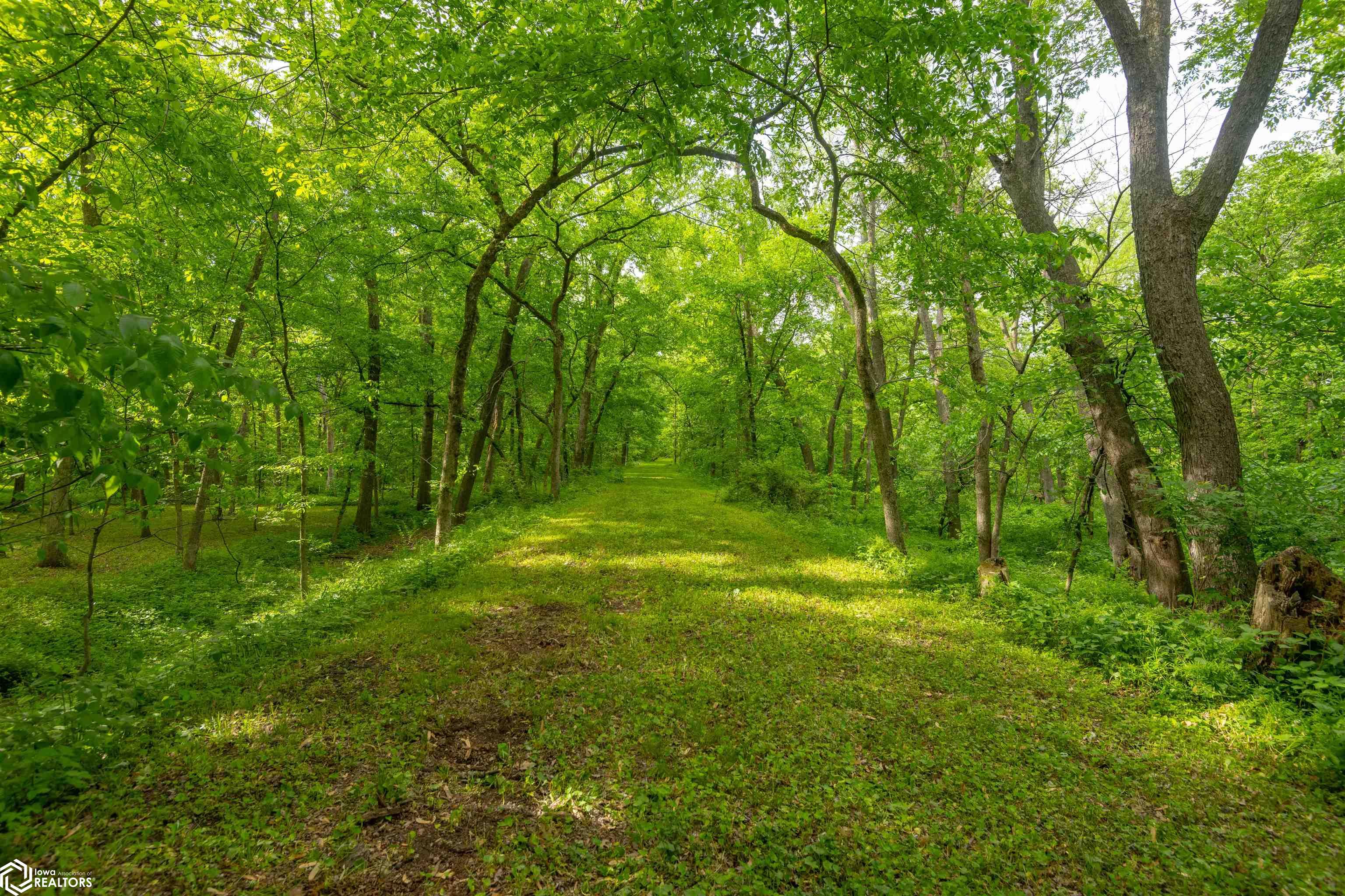 17261 Highway, Centerville, Iowa image 18