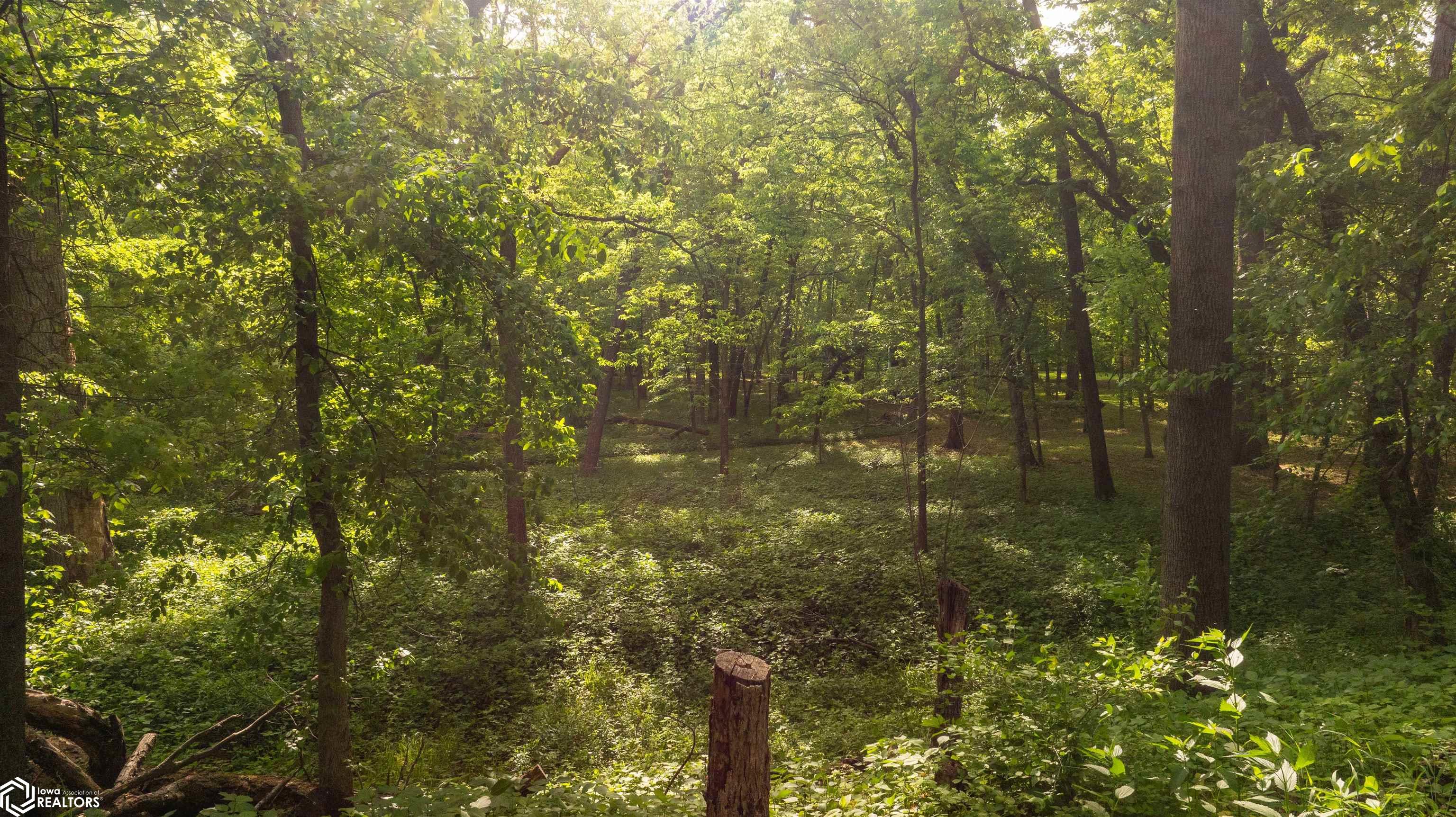 17261 Highway, Centerville, Iowa image 9