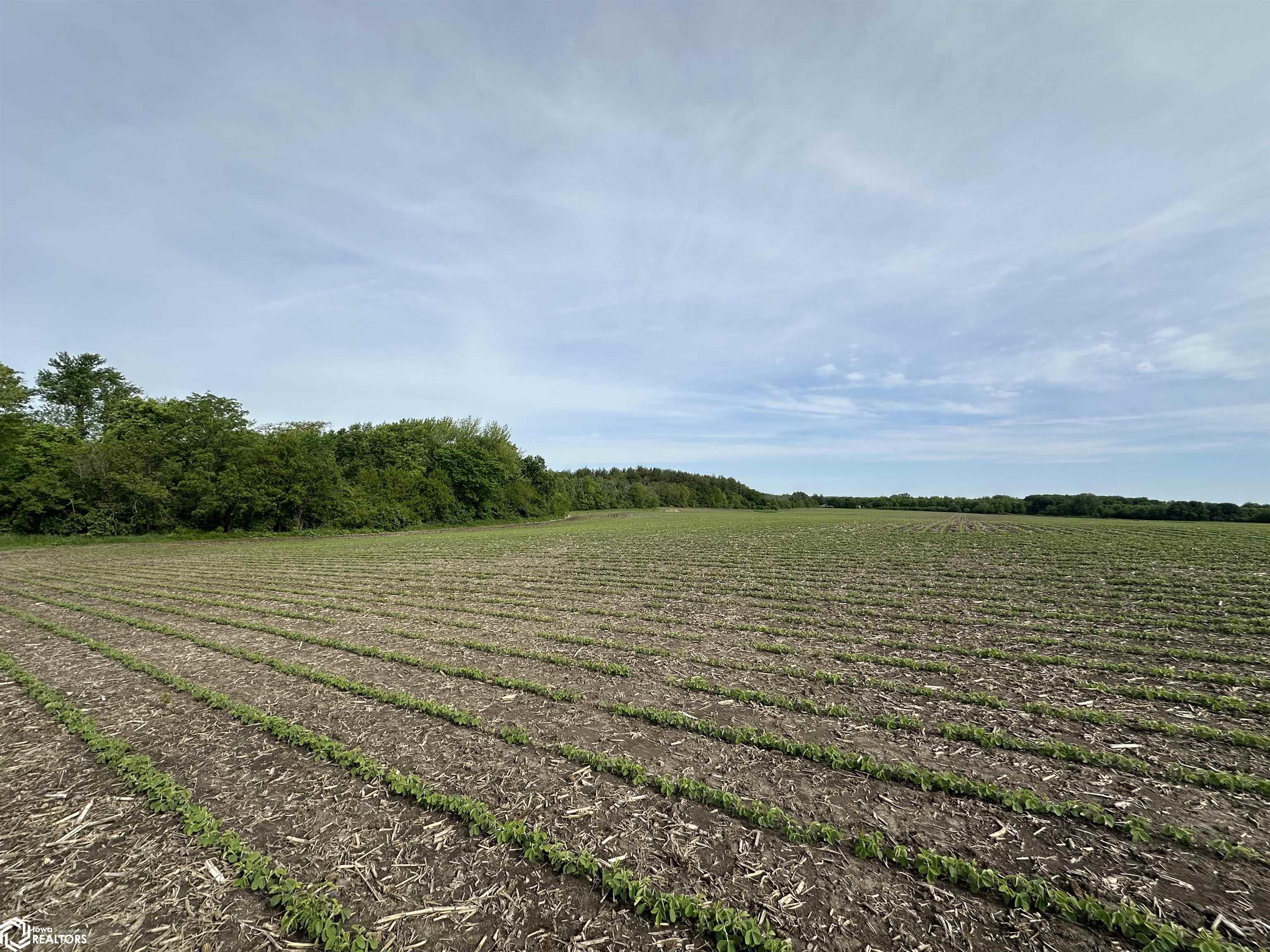 450th Street, Mystic, Iowa image 11