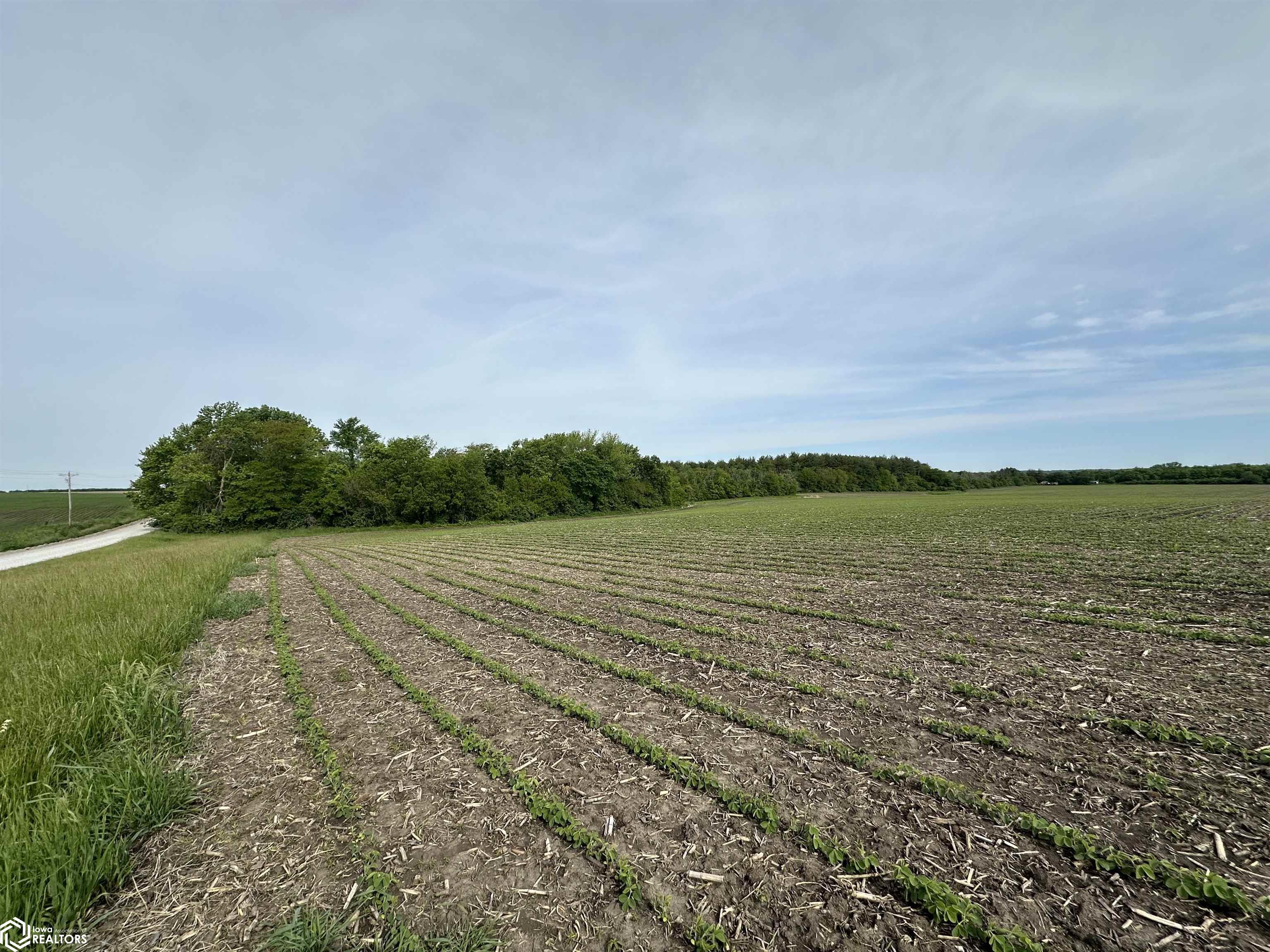 450th Street, Mystic, Iowa image 13