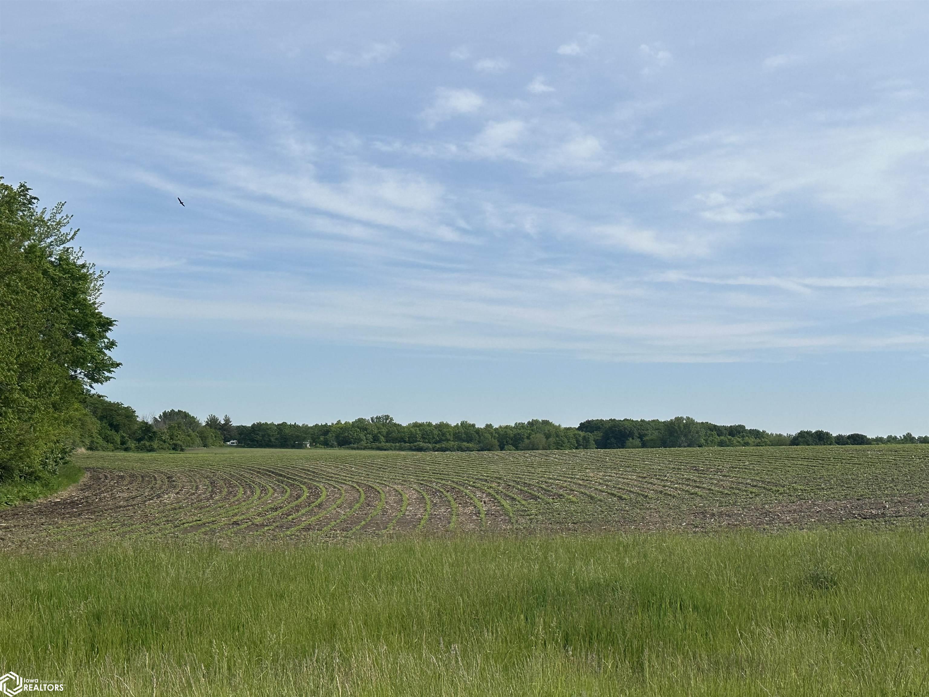 450th Street, Mystic, Iowa image 10