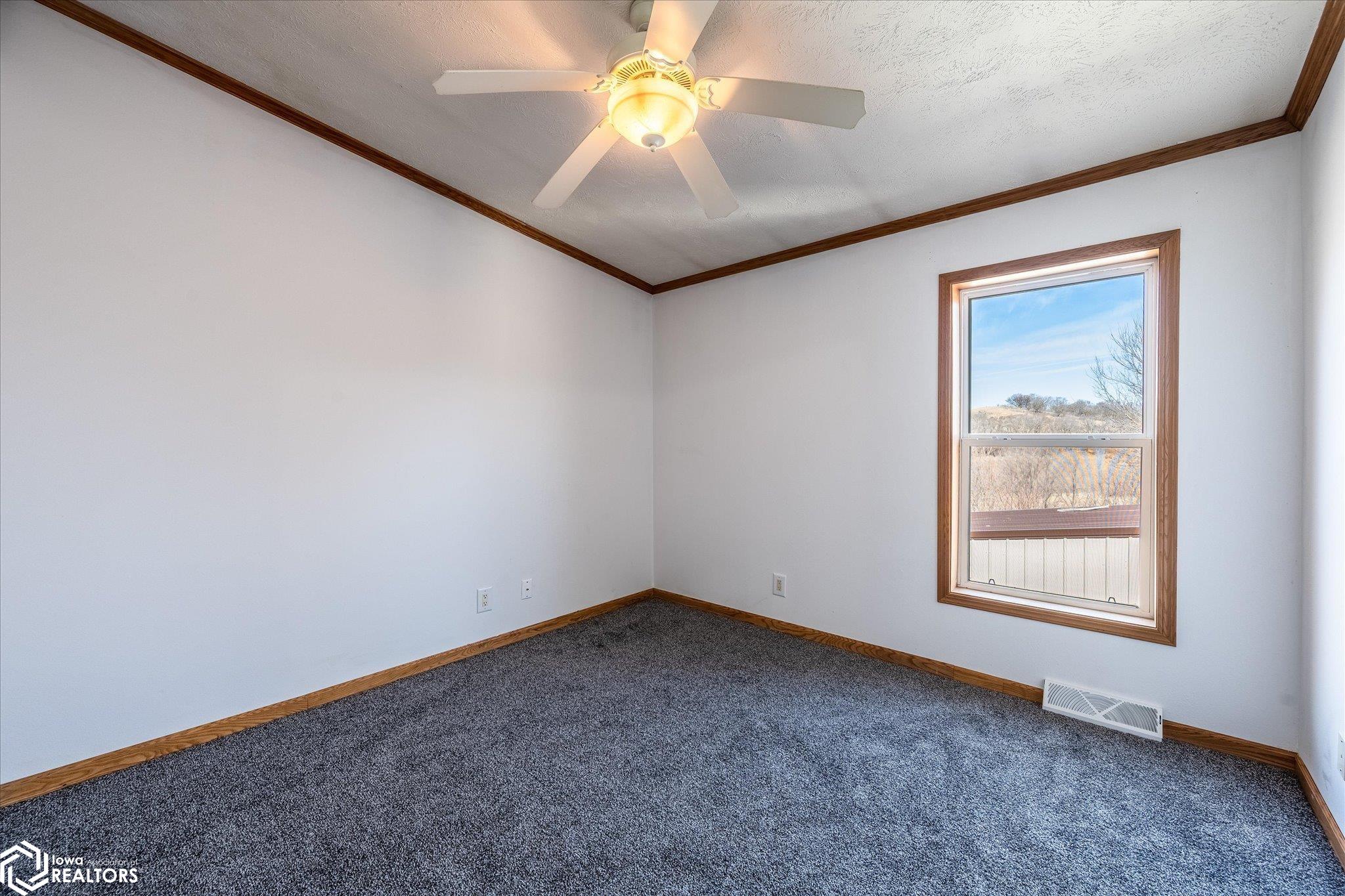 1737 Ithaca Avenue, Mondamin, Iowa image 35