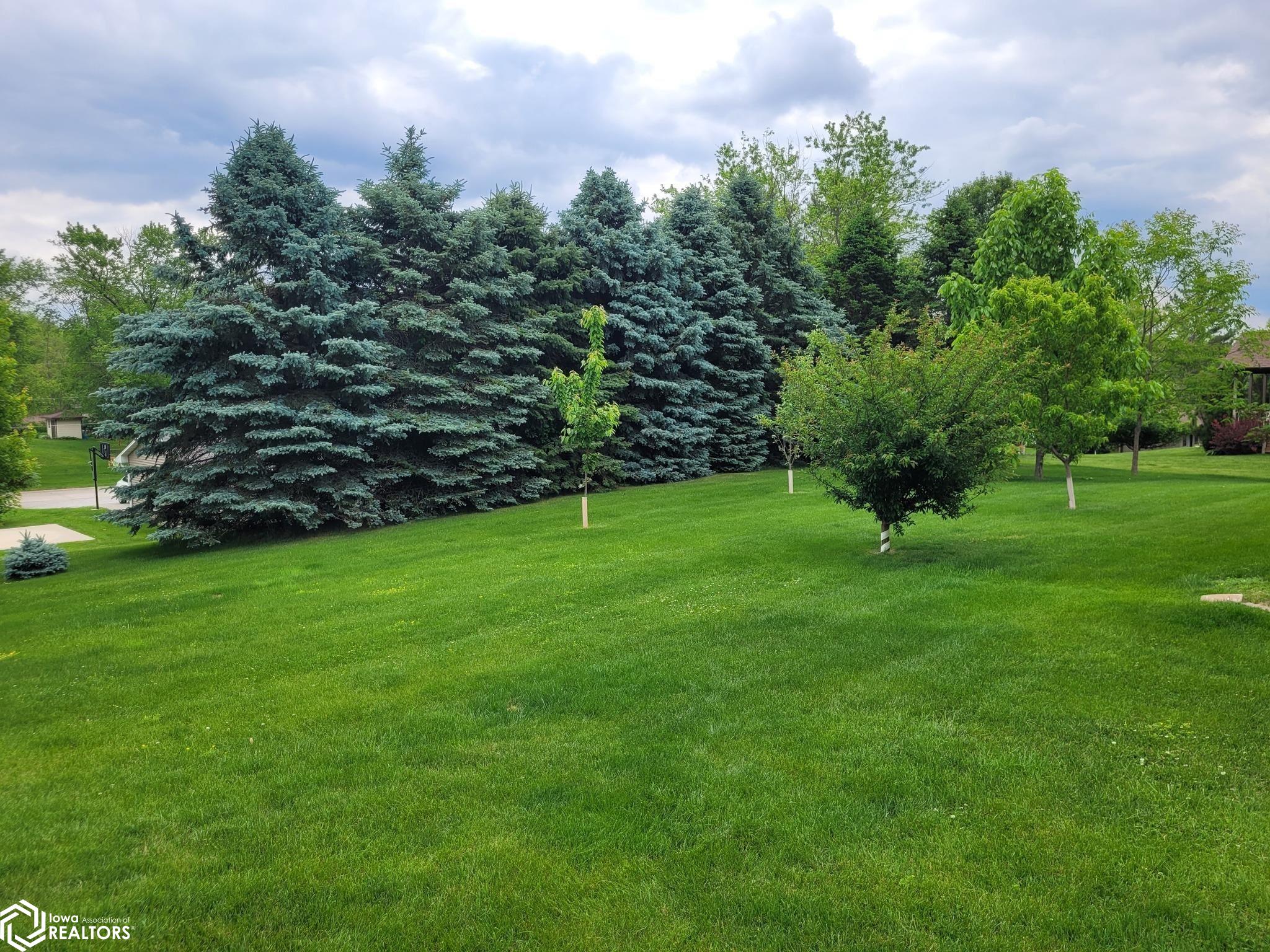 905 Mackey Avenue, Sigourney, Iowa image 42