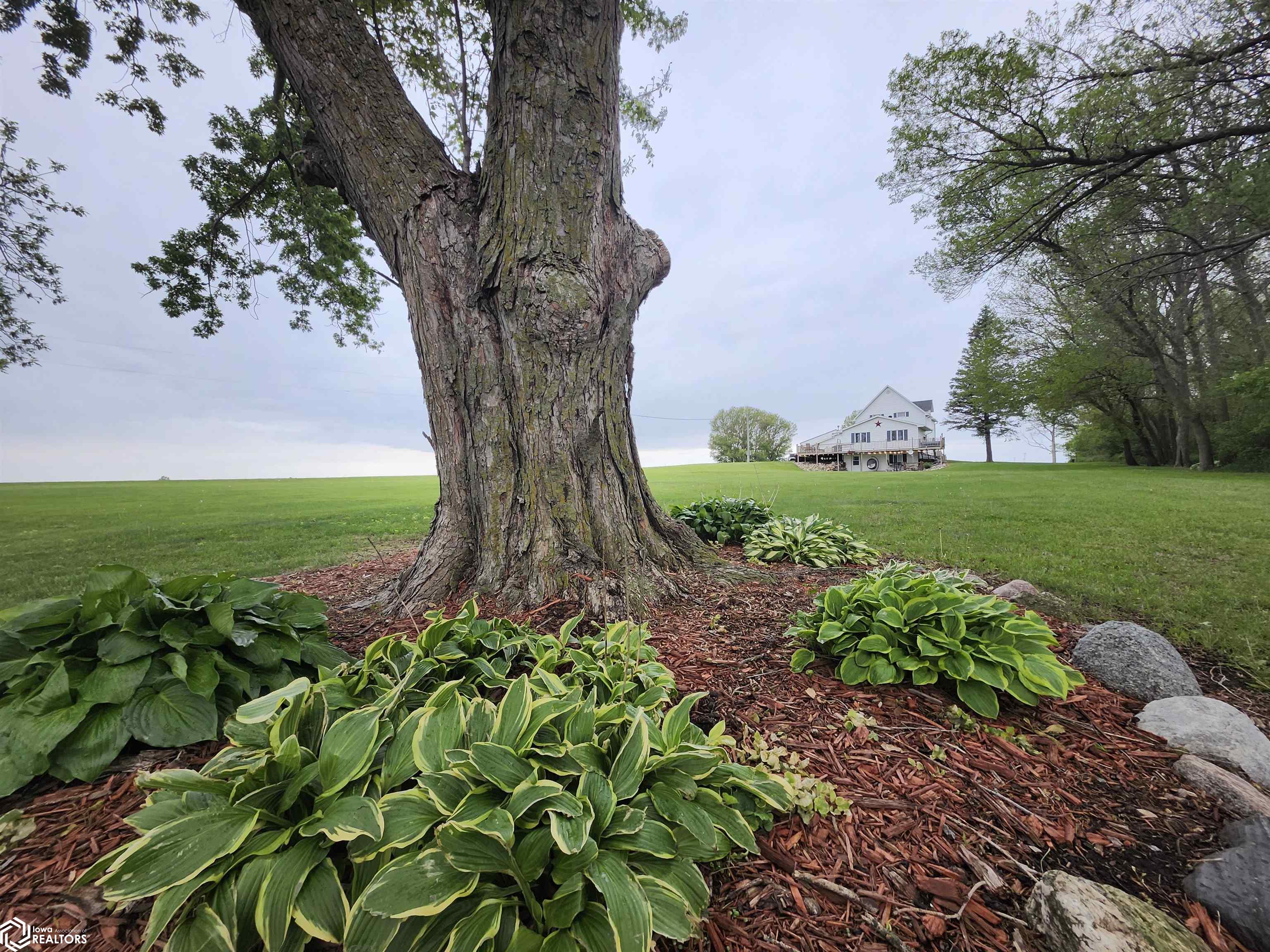 2245 Palm Avenue, Garner, Iowa image 1