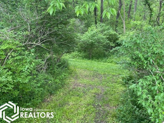 300 W Yocum Lane, Mount Pleasant, Iowa image 4
