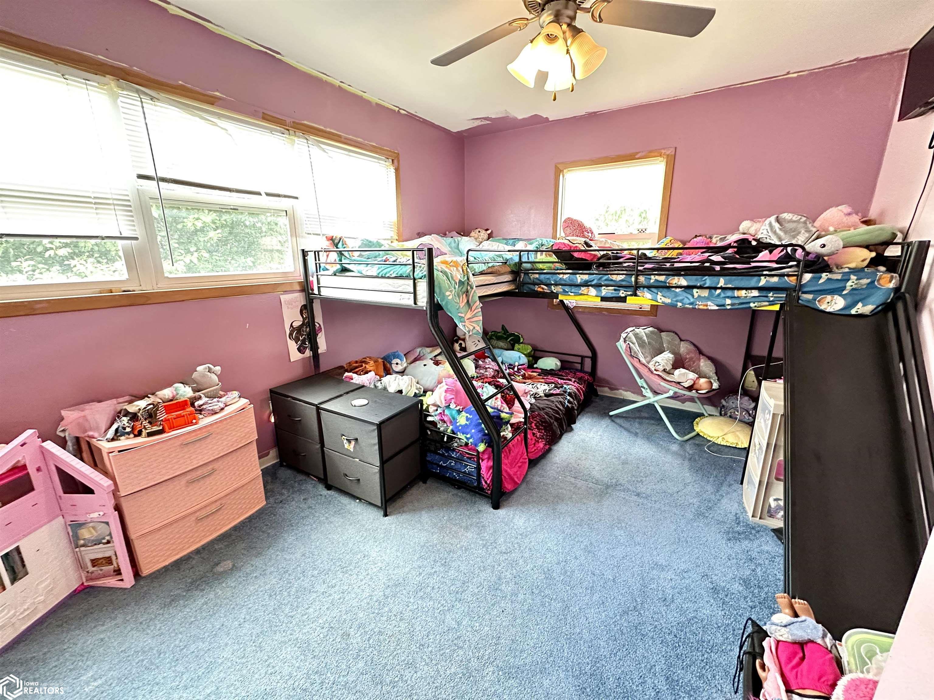407 11th Avenue, Grinnell, Iowa image 13