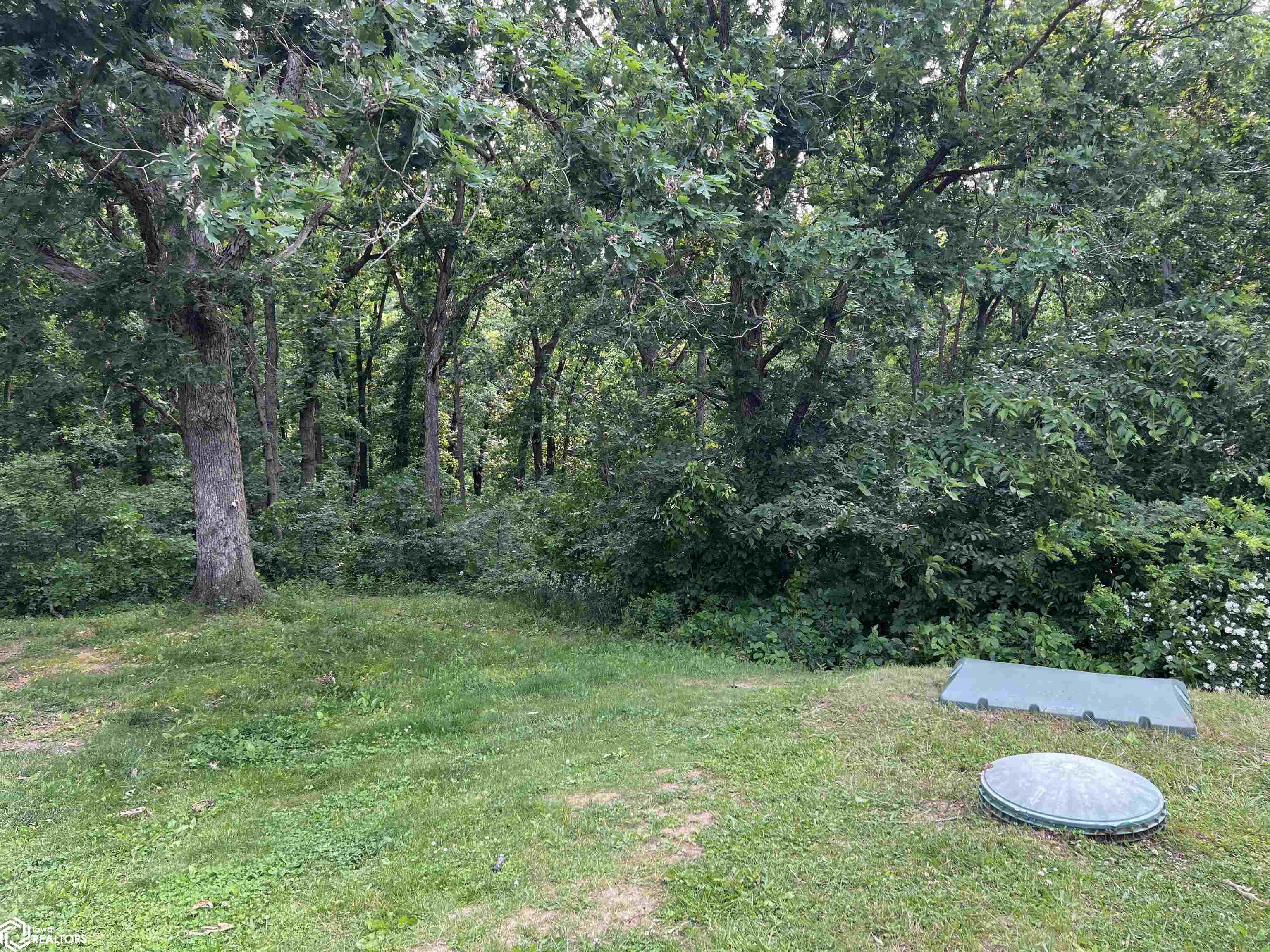 12861 Nettle Avenue, Bloomfield, Iowa image 47