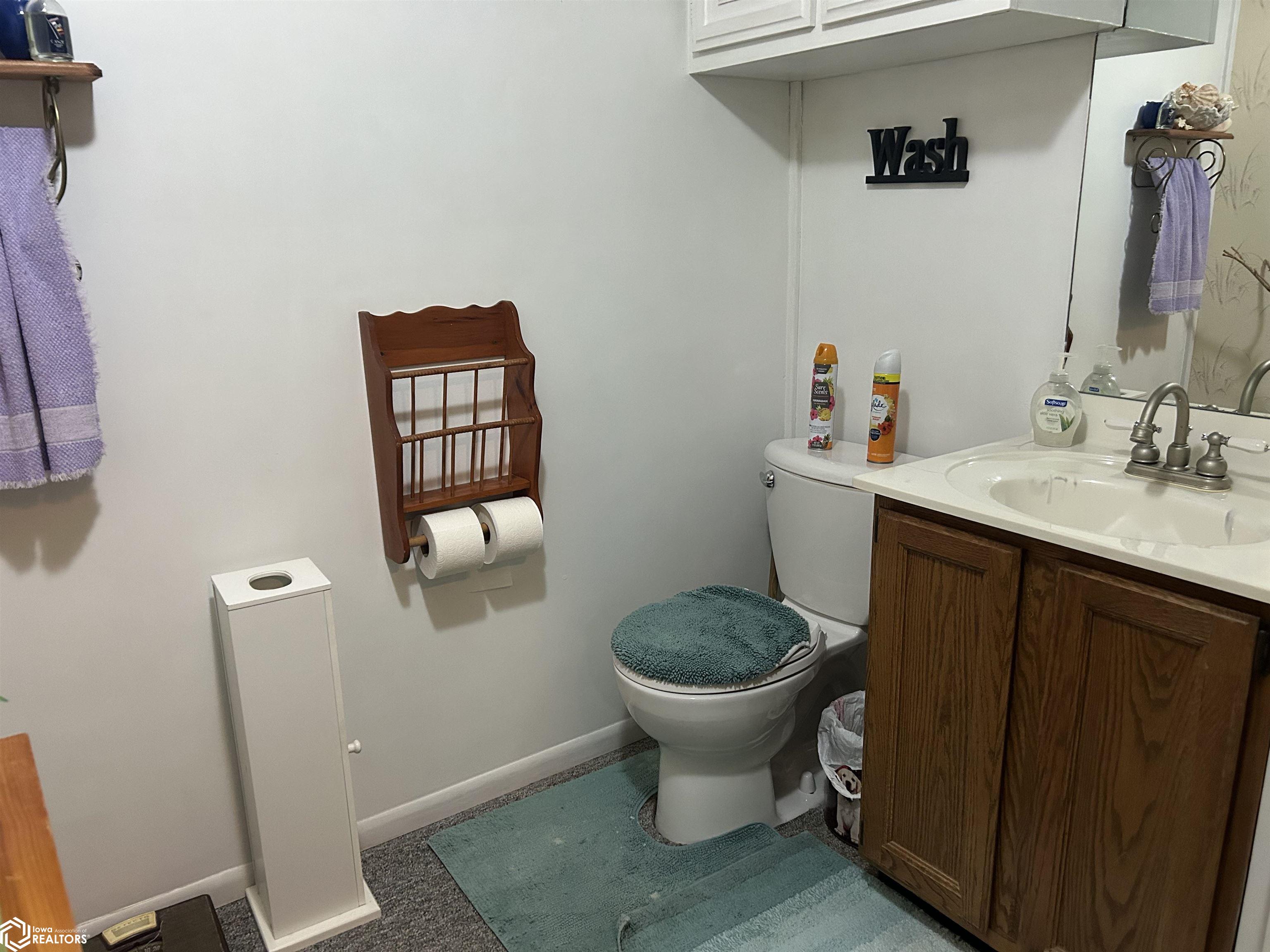 205 Helm Street, Marshalltown, Iowa image 27