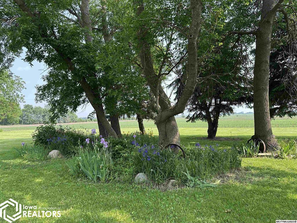 2035 490th Street, Northwood, Iowa image 27