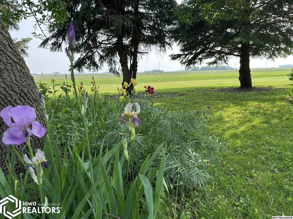 2035 490th Street, Northwood, Iowa image 30