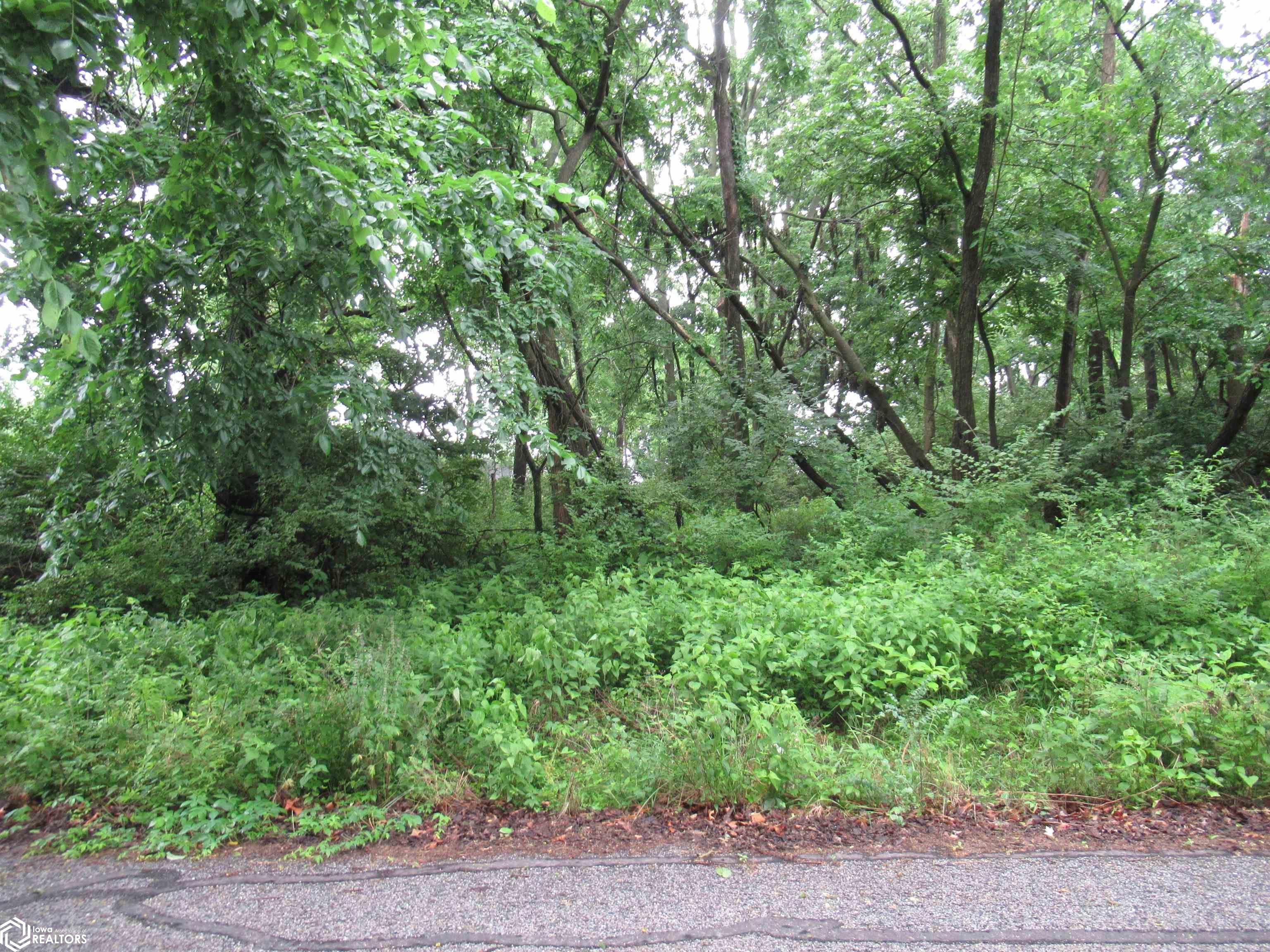 Lot #9 Hazelhurst Circle, Keokuk, Iowa image 2
