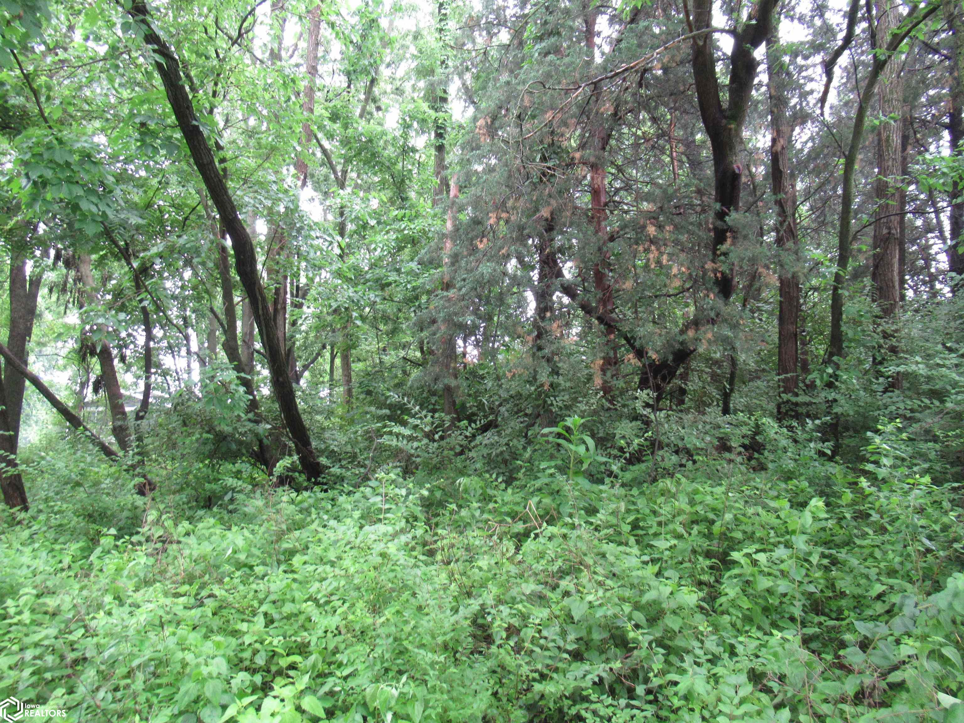 Lot #9 Hazelhurst Circle, Keokuk, Iowa image 4