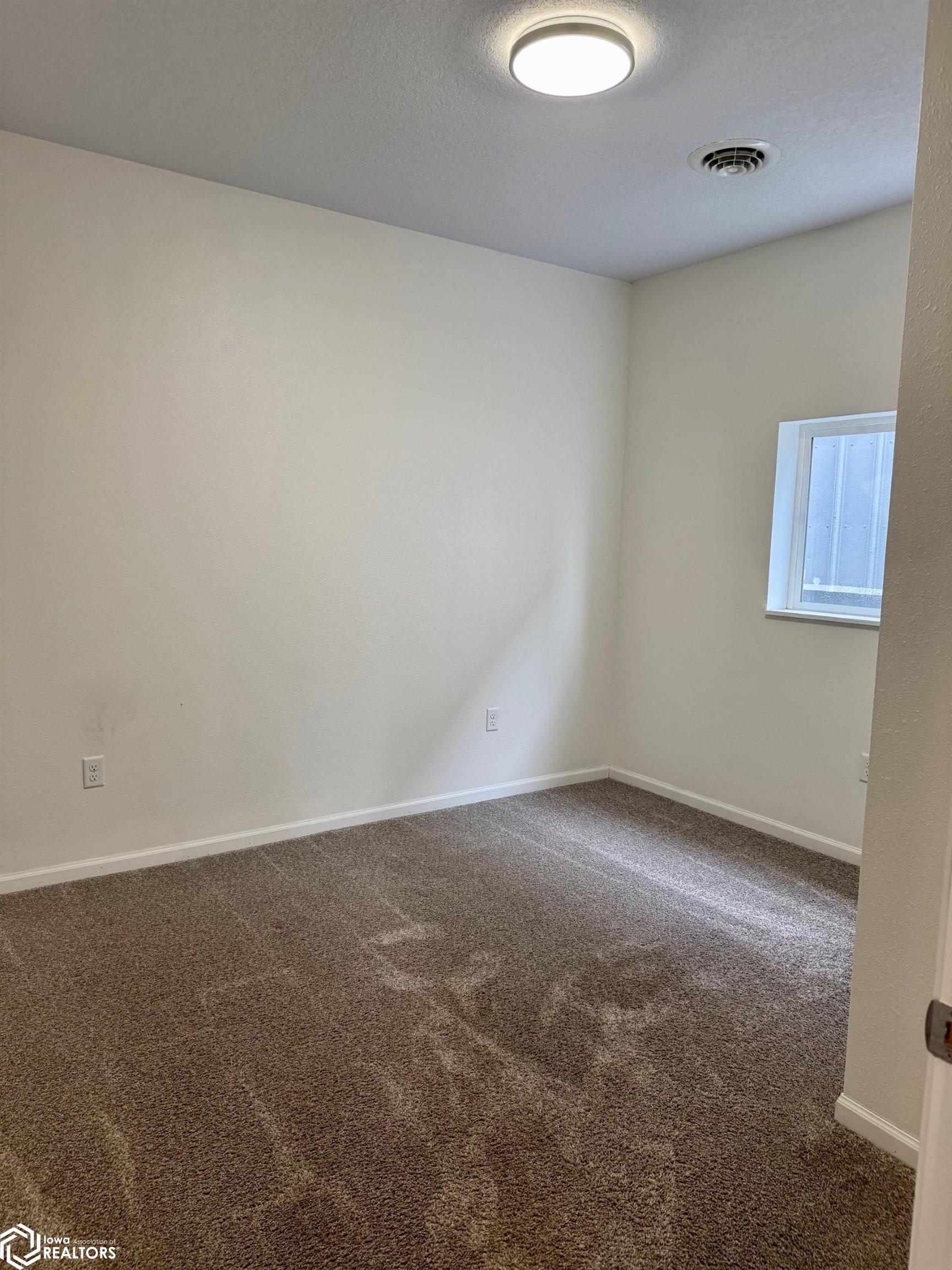 205 Collins Street, Batavia, Iowa image 11