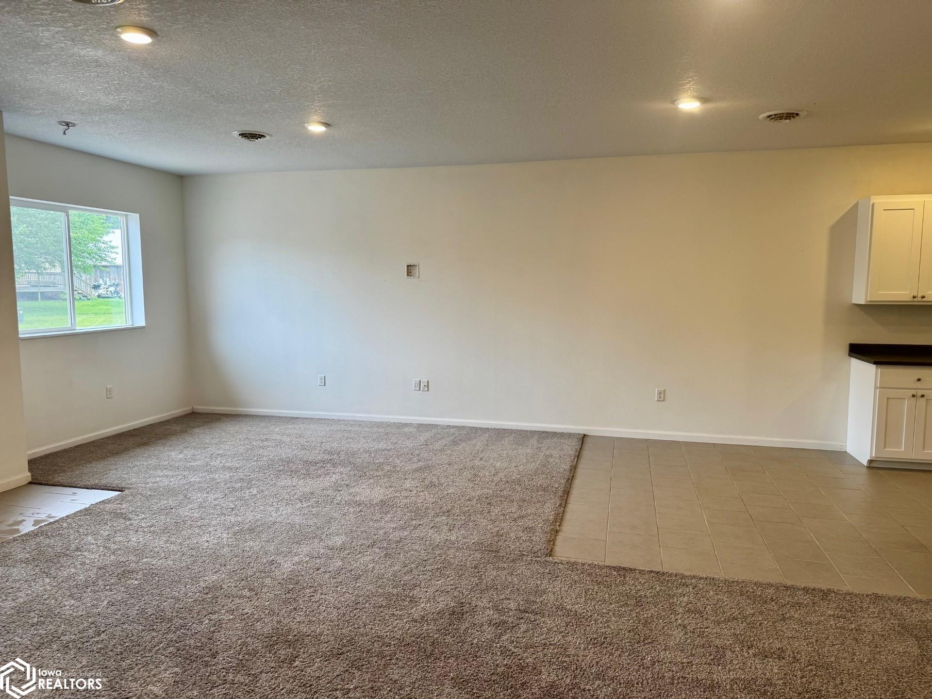 205 Collins Street, Batavia, Iowa image 16