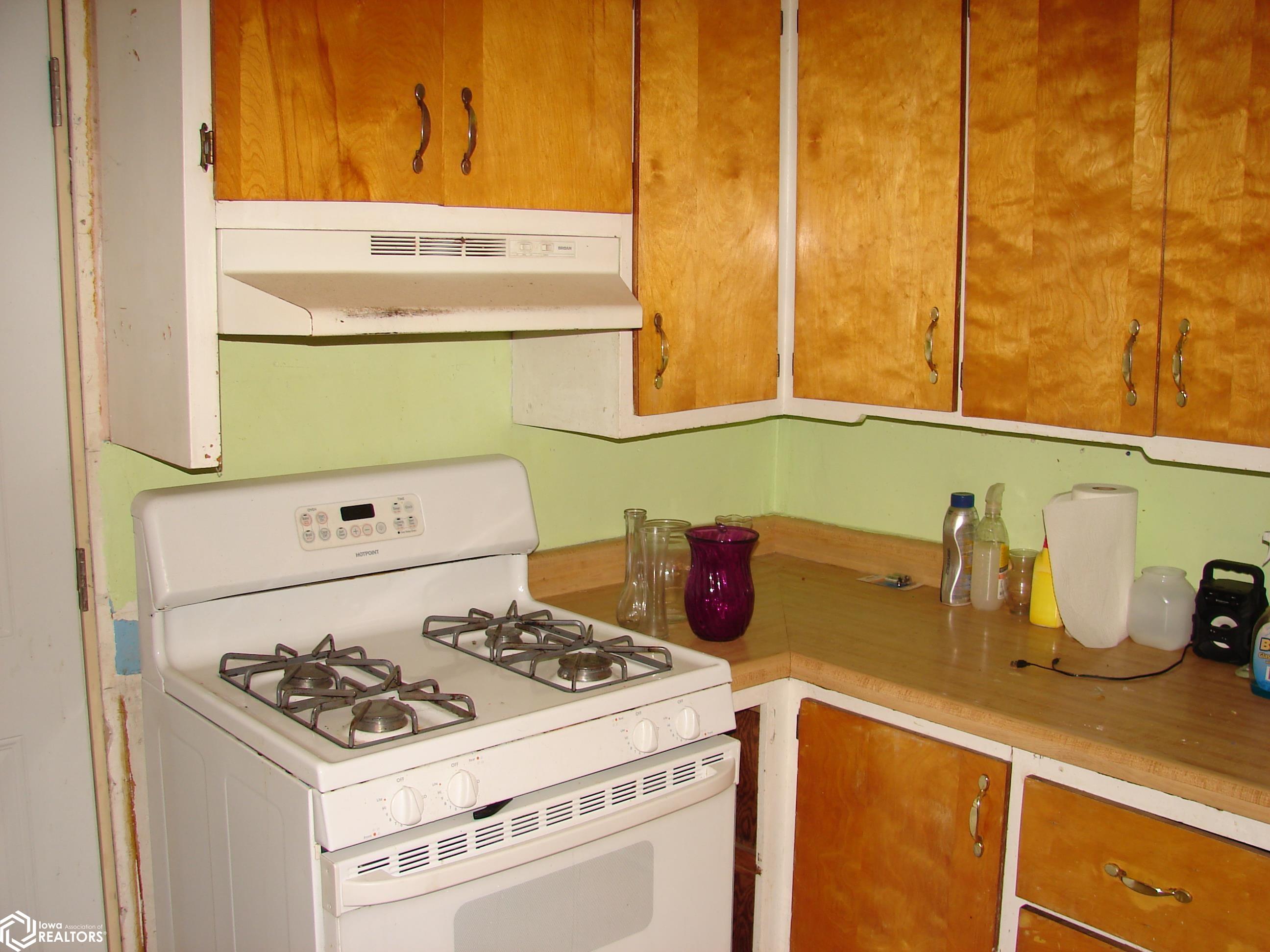 305 W Warren St., Mount Pleasant, Iowa image 10