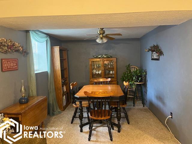 907 N Aldrin Drive, Mount Pleasant, Iowa image 13