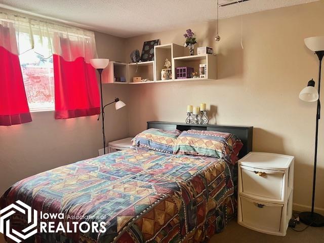 907 N Aldrin Drive, Mount Pleasant, Iowa image 16