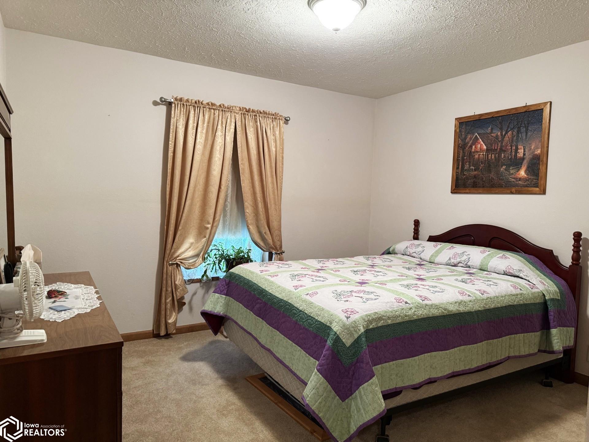 311 10th Street, Manilla, Iowa image 8