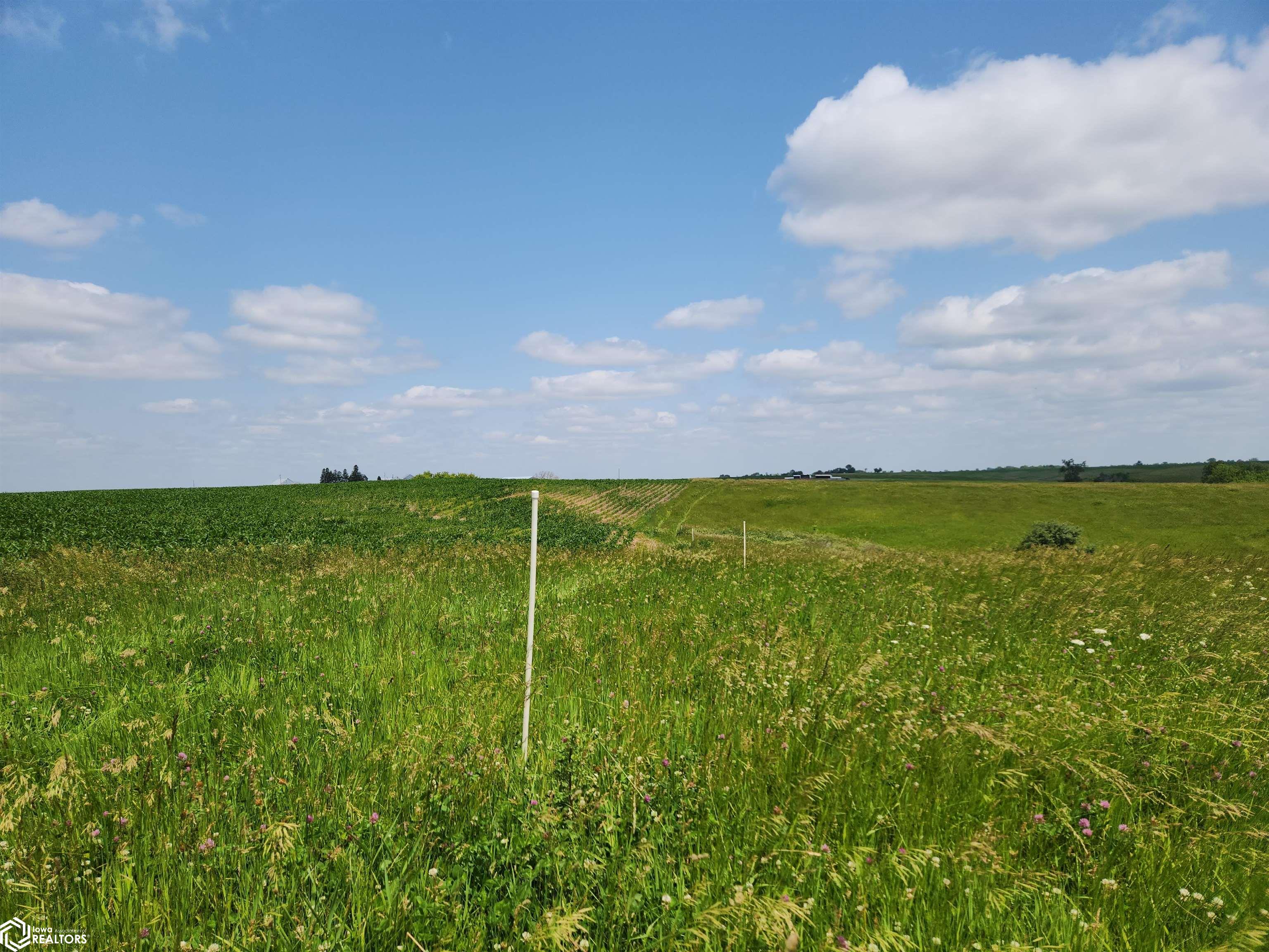 West line has white posts