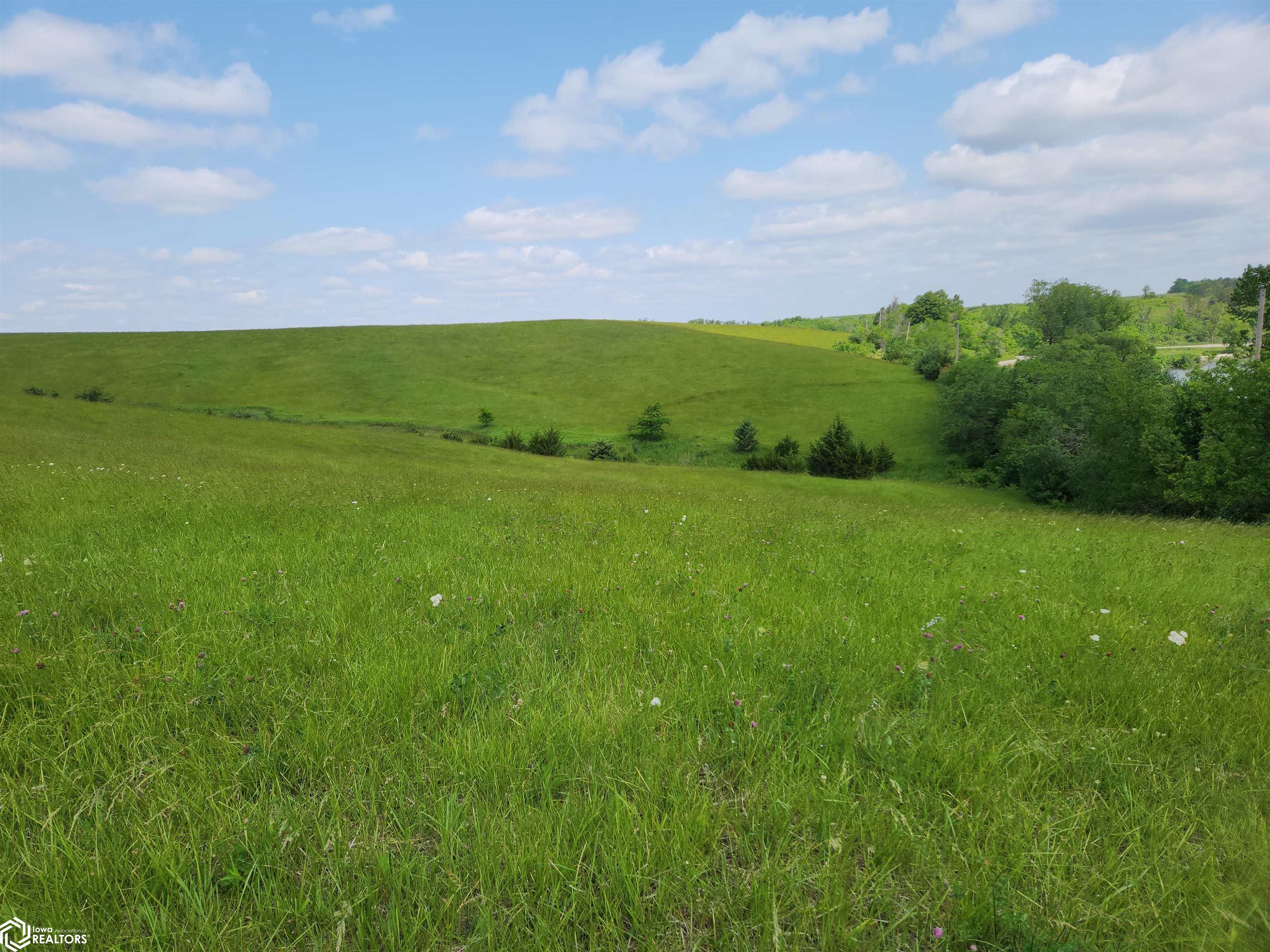 Hwy F-27, Kellogg, Iowa image 18