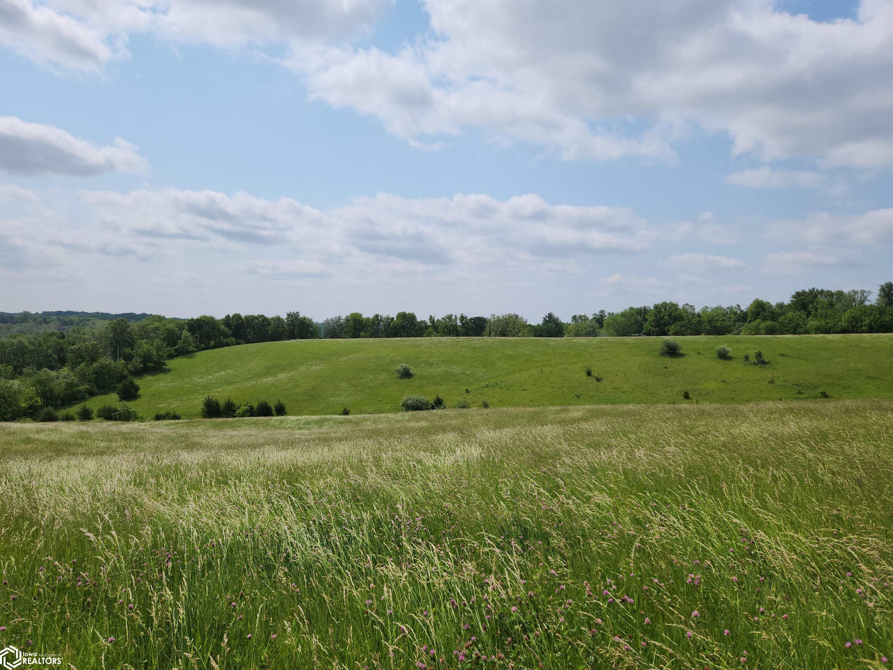 Hwy F-27, Kellogg, Iowa image 8