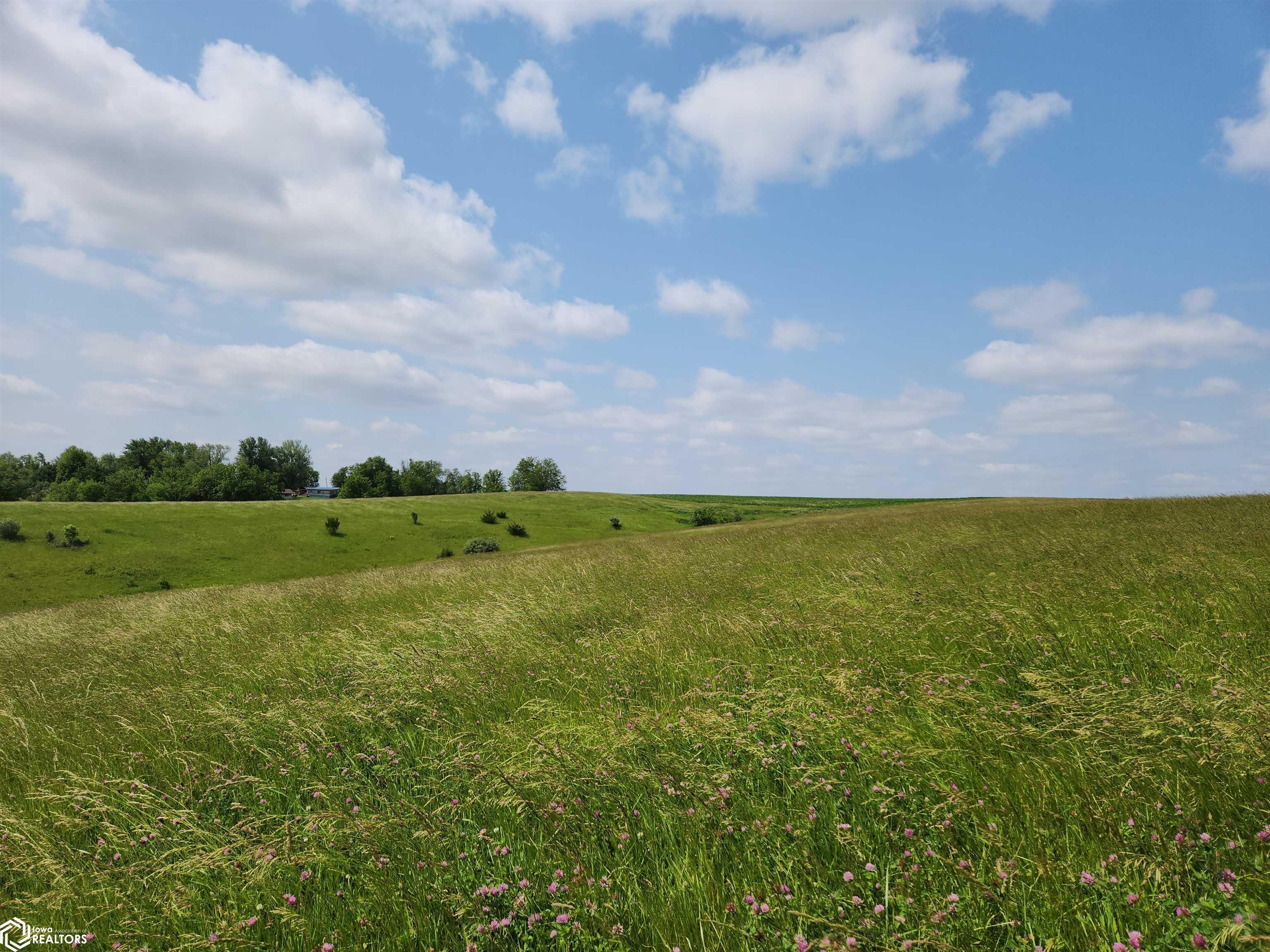 Hwy F-27, Kellogg, Iowa image 9
