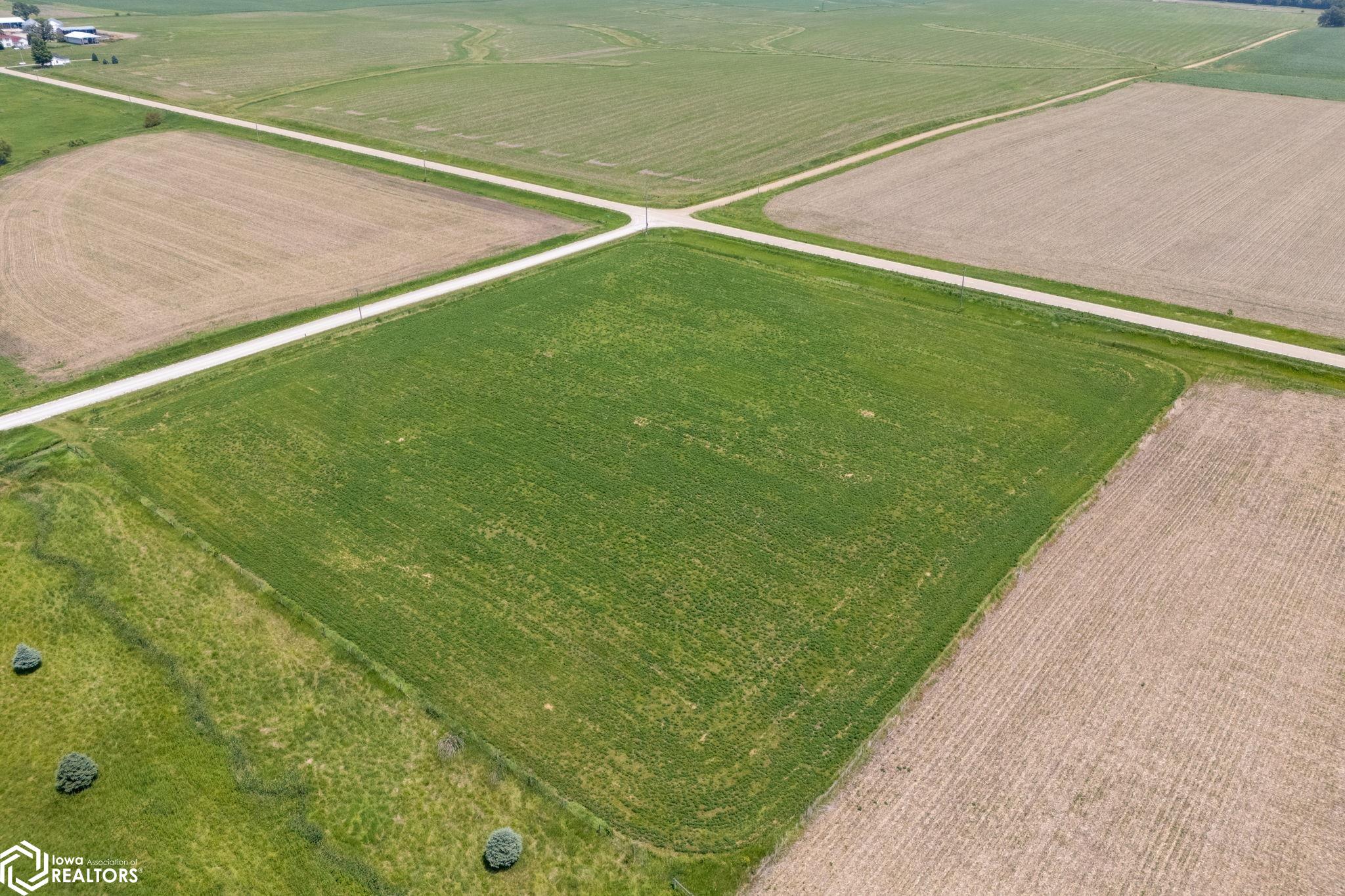 Co. Rd. X-43 Parcel, Letts, Iowa image 3