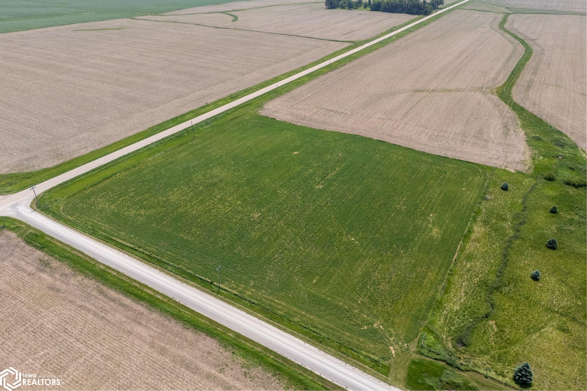 Co. Rd. X-43 Parcel, Letts, Iowa image 5