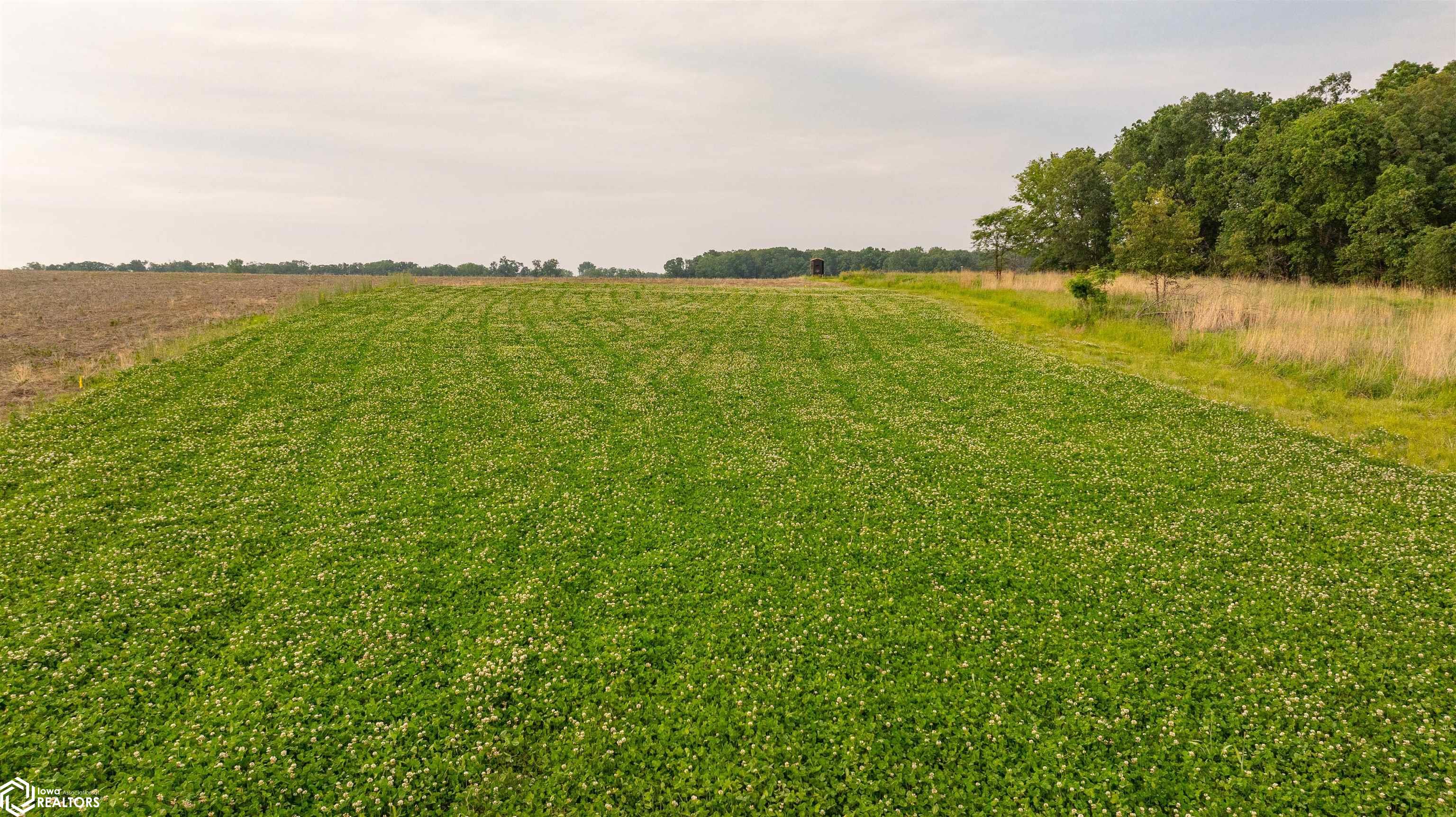 000 175th Avenue, Argyle, Iowa image 23