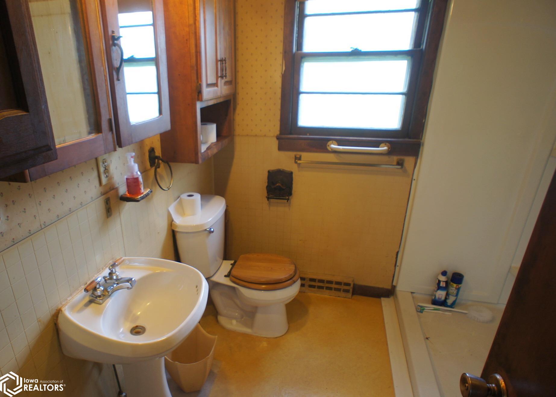 217 Apple Avenue, Webster City, Iowa image 10