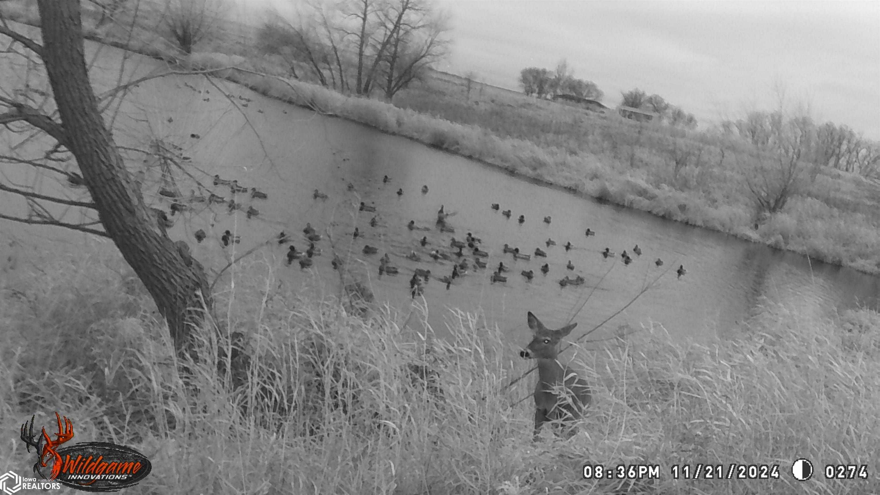 280th St., Mason City, Iowa image 11