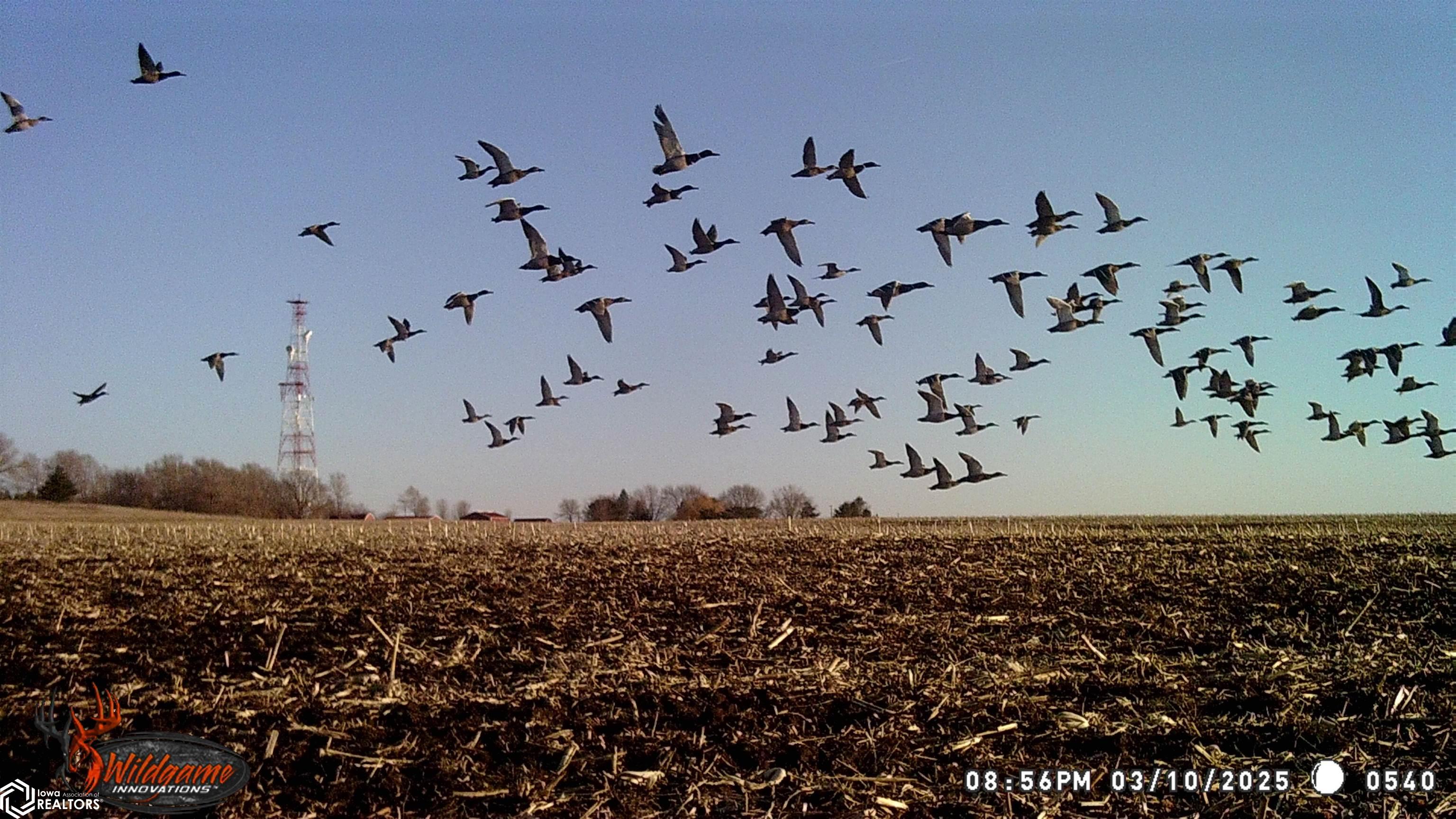 280th St., Mason City, Iowa image 12