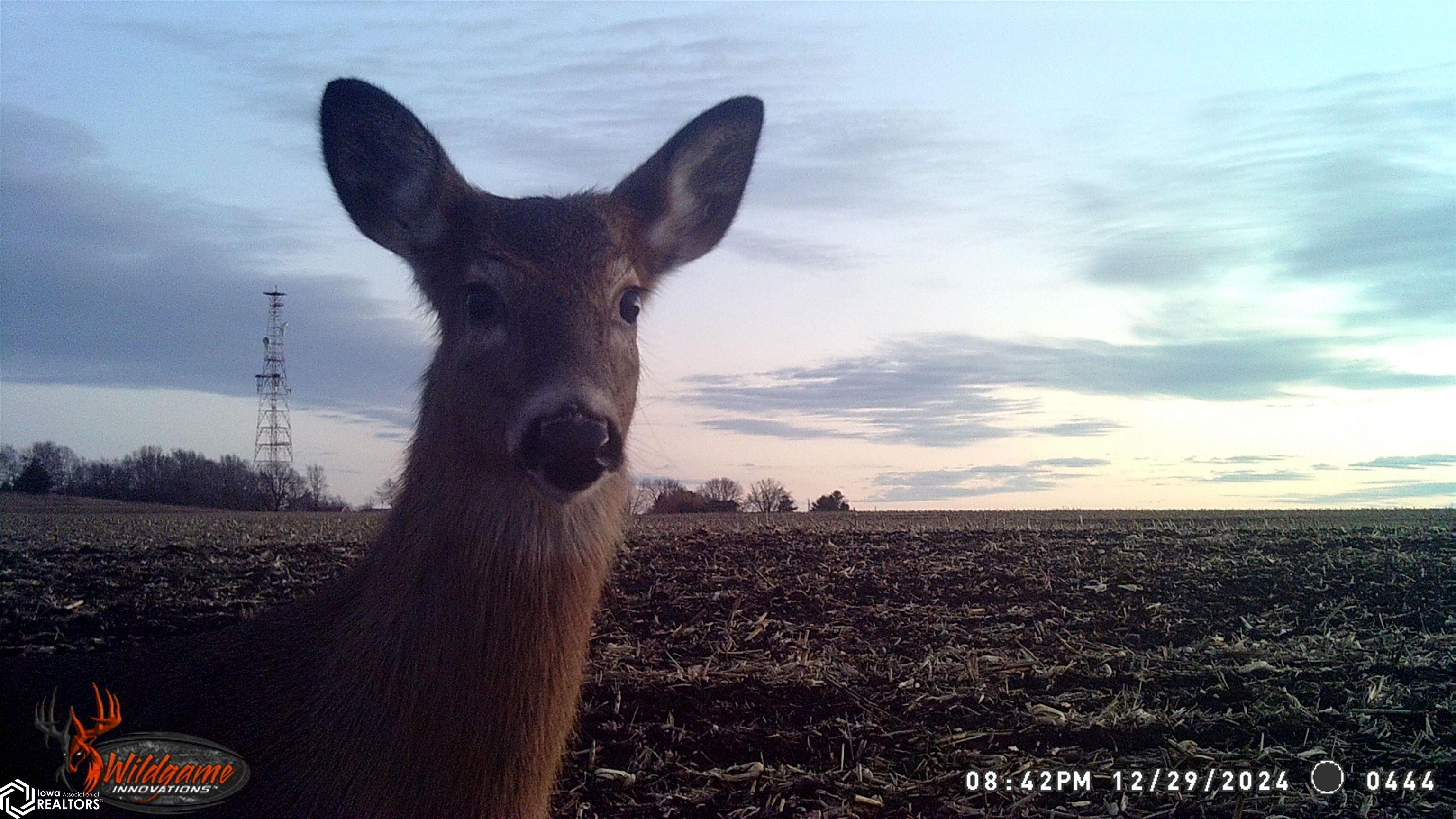 280th St., Mason City, Iowa image 13