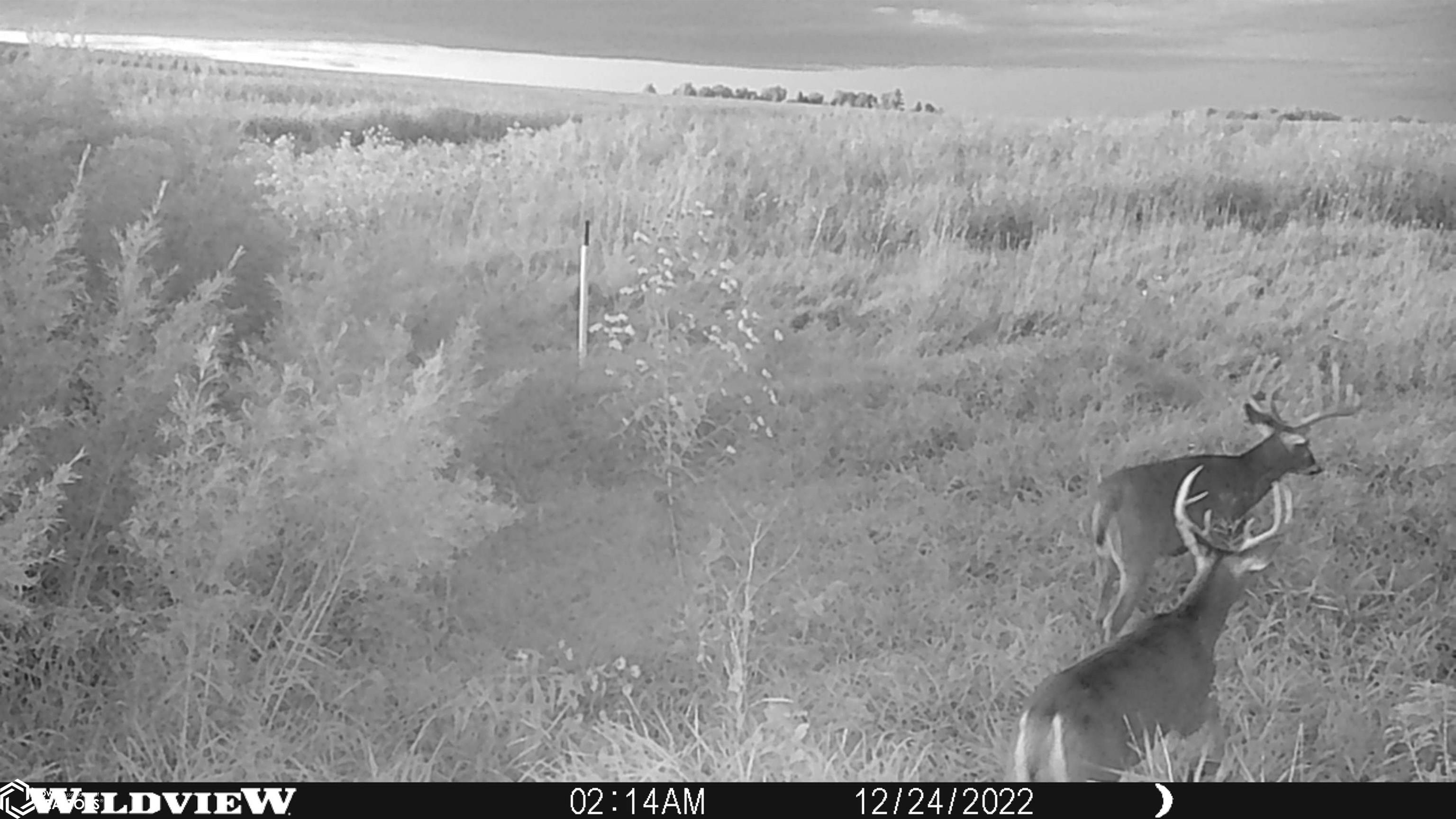 280th St., Mason City, Iowa image 9
