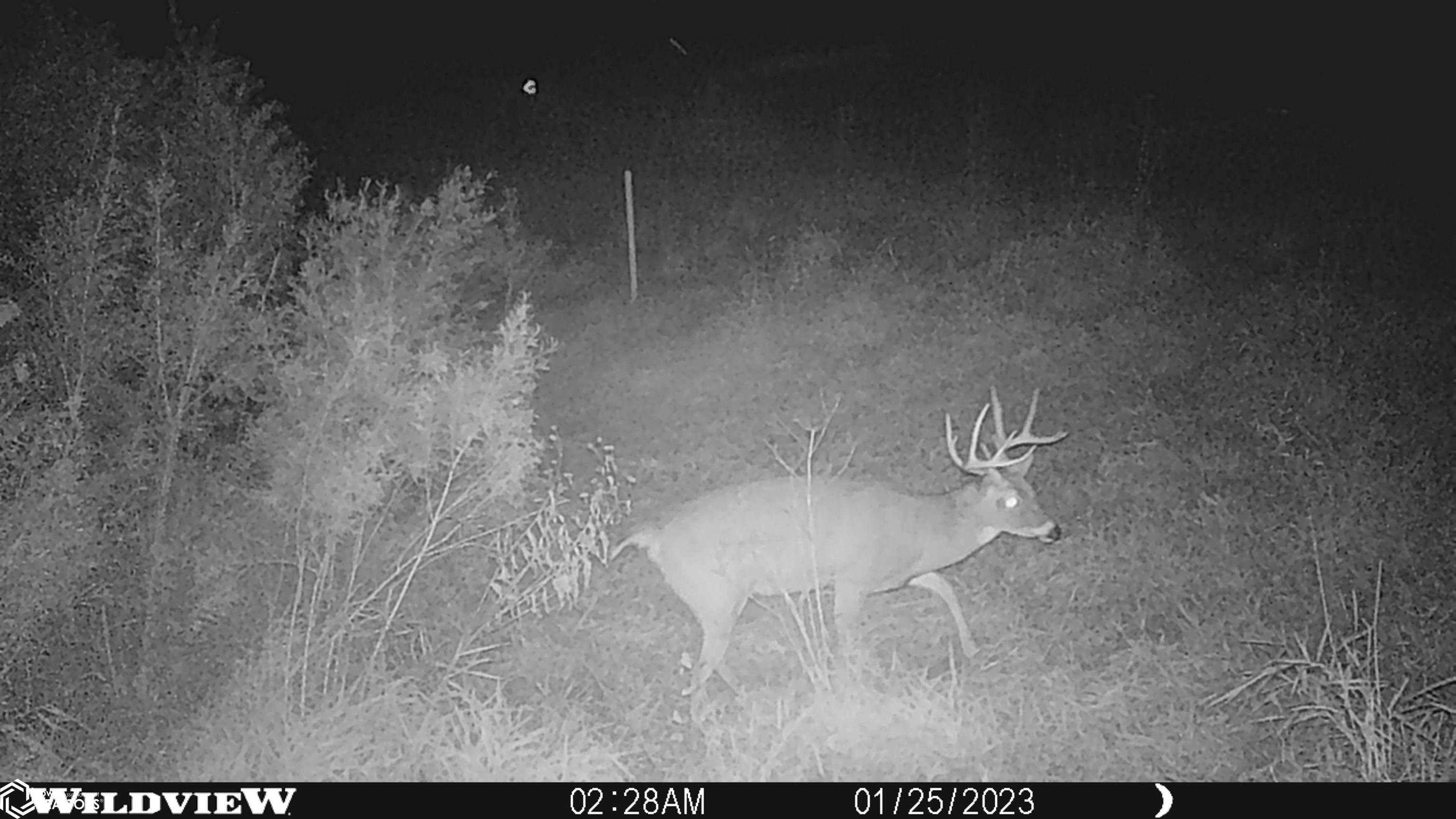 280th St., Mason City, Iowa image 10