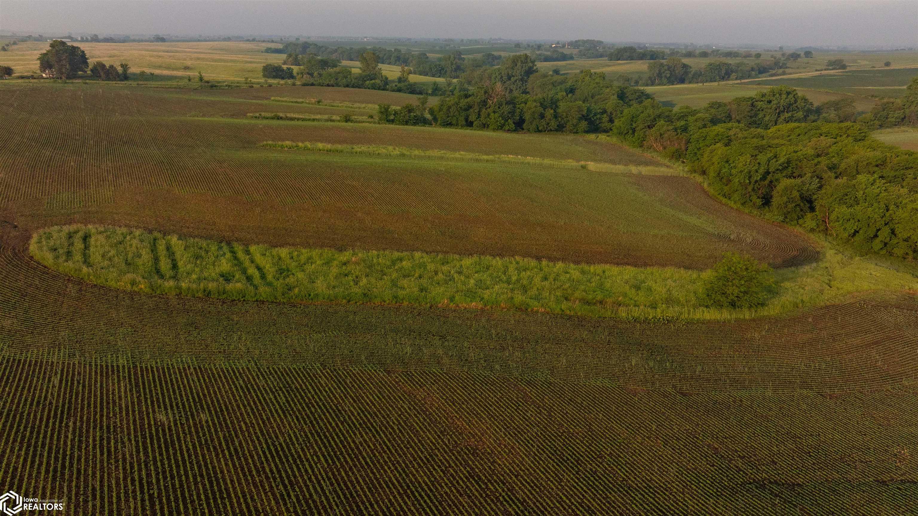 000 Ohio Road, Corydon, Iowa image 6