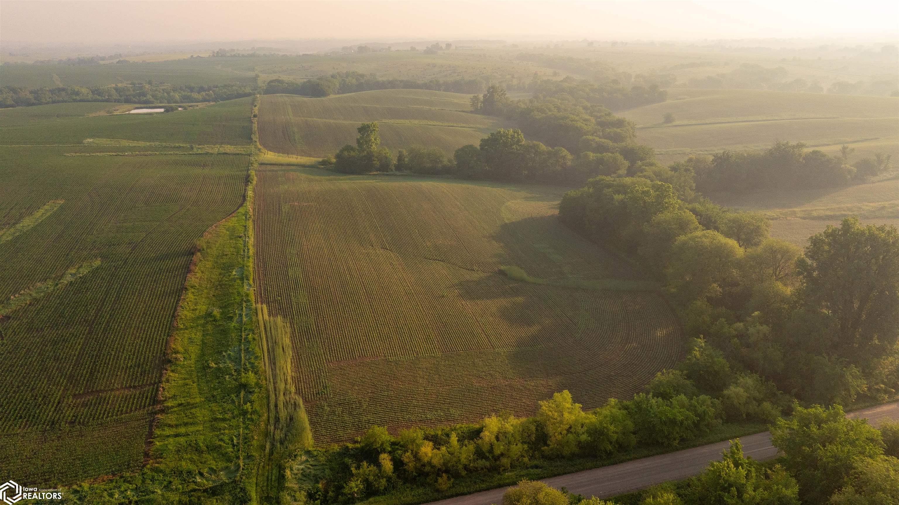 000 Ohio Road, Corydon, Iowa image 9
