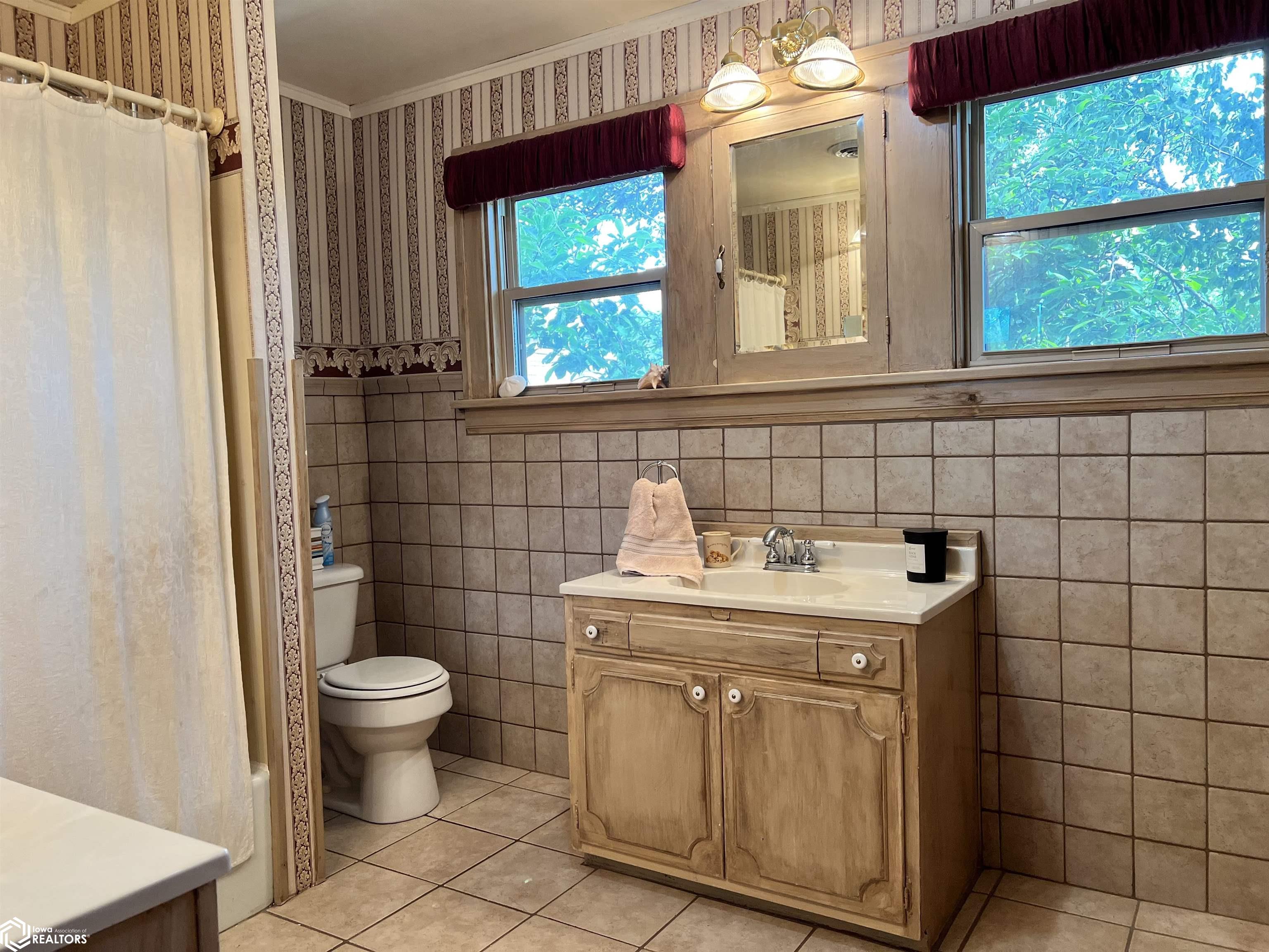 609 Morehead Street, Ida Grove, Iowa image 33