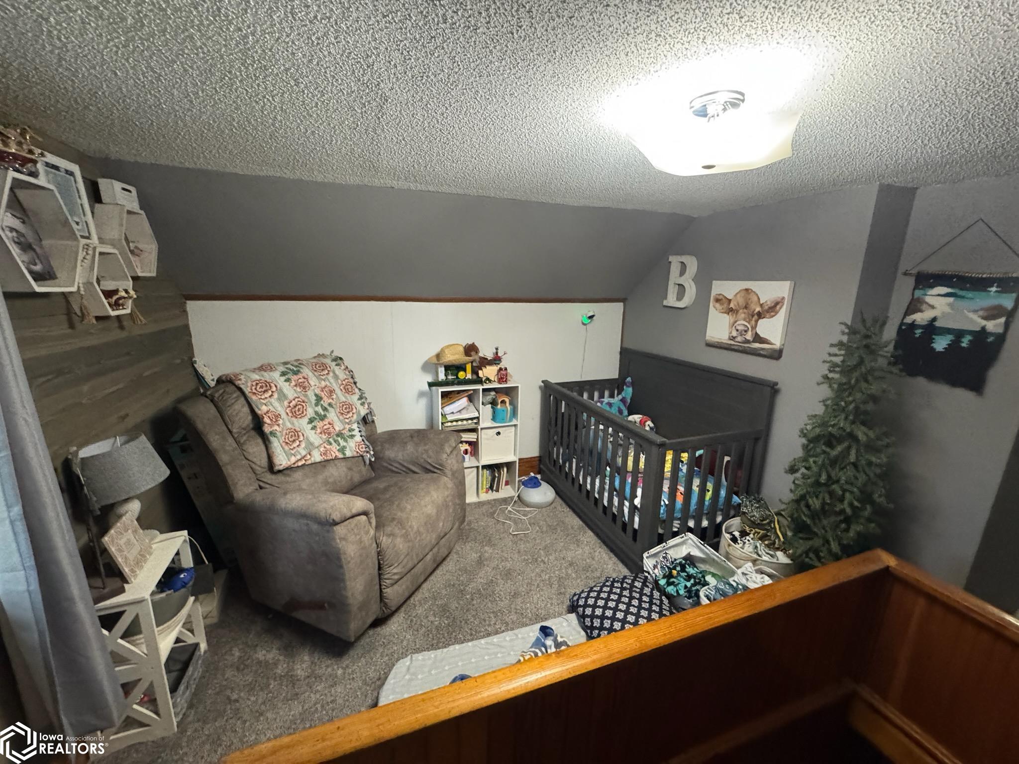 313 4th Avenue, Coon Rapids, Iowa image 17